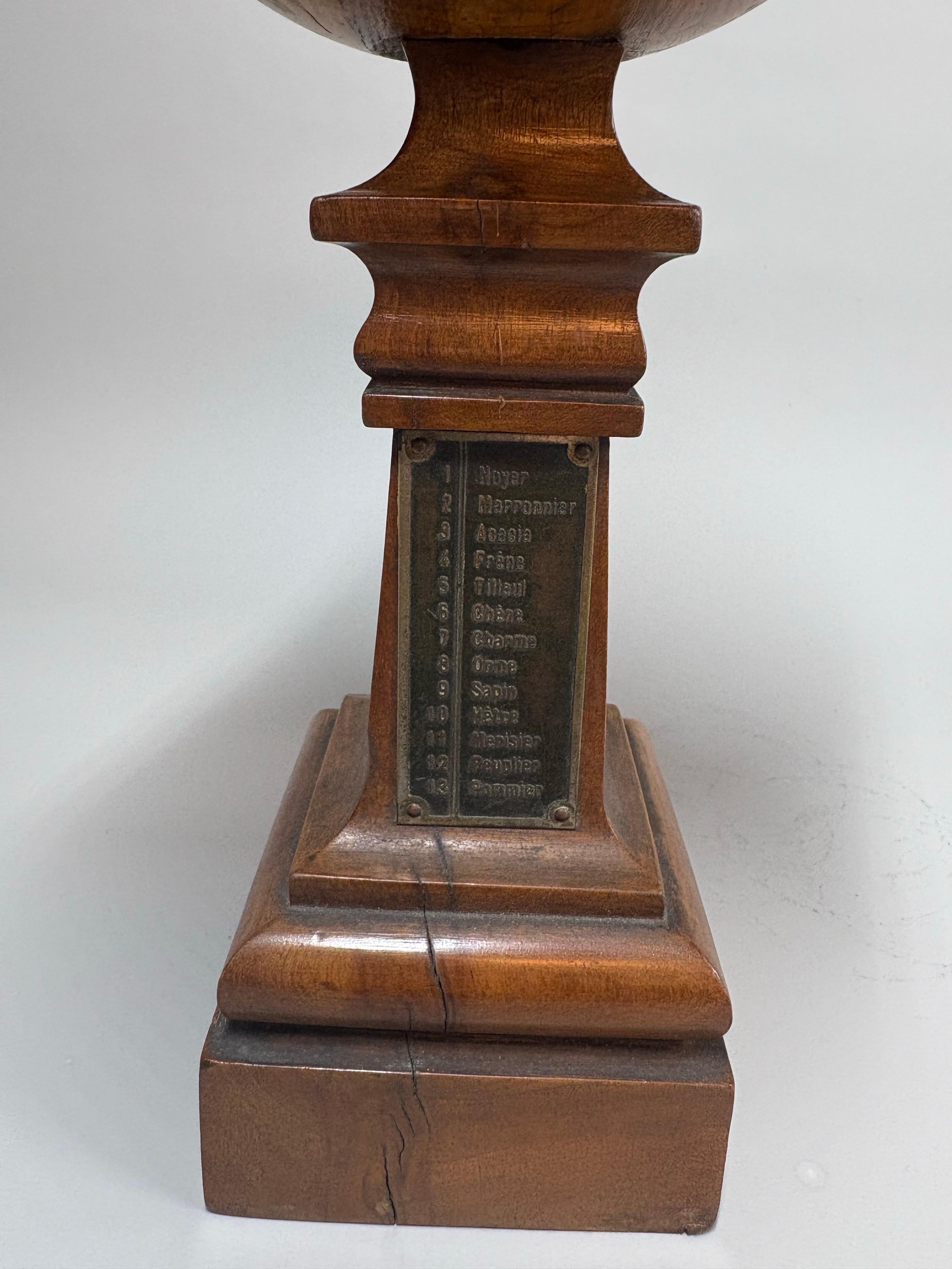 Antique French Cabinet maker wood sampler / display en vente 2