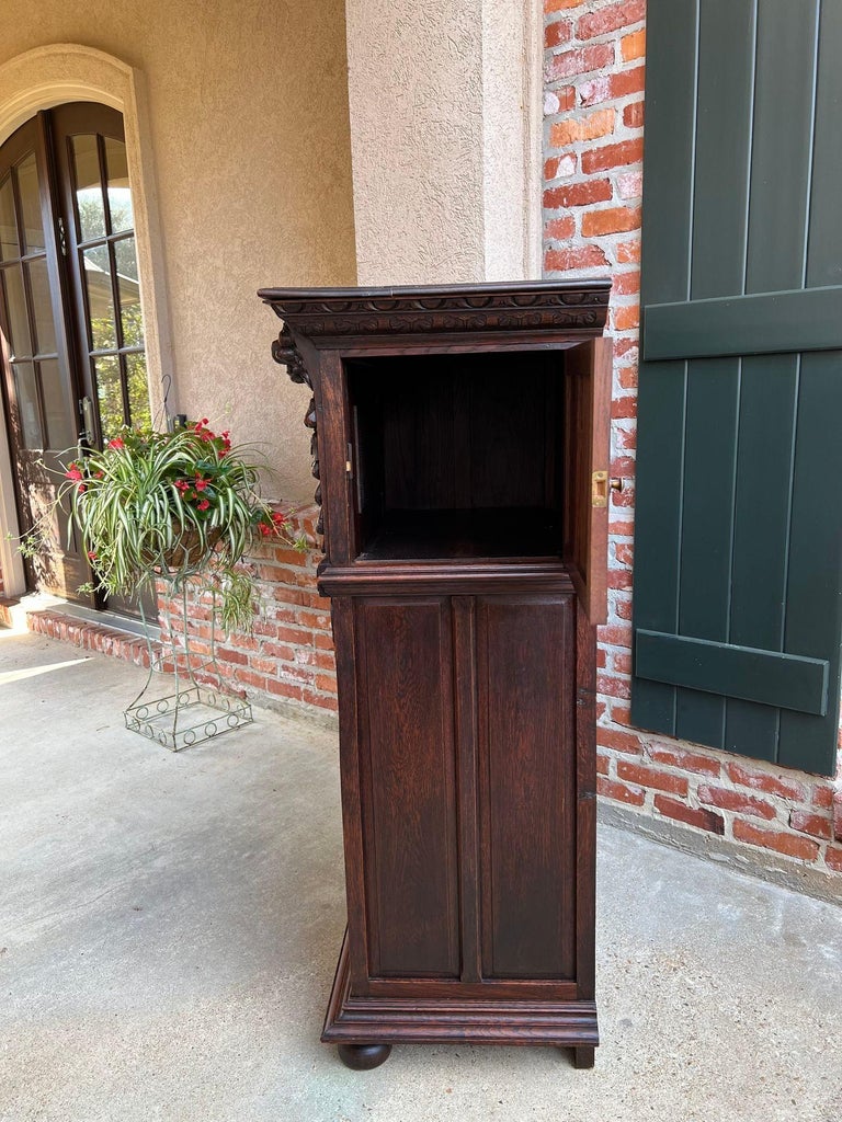 Antique French Renaissance Carved Oak Bookcase Wine Cellarette