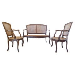 Antike French Cane Wohnzimmer Set Louis XV