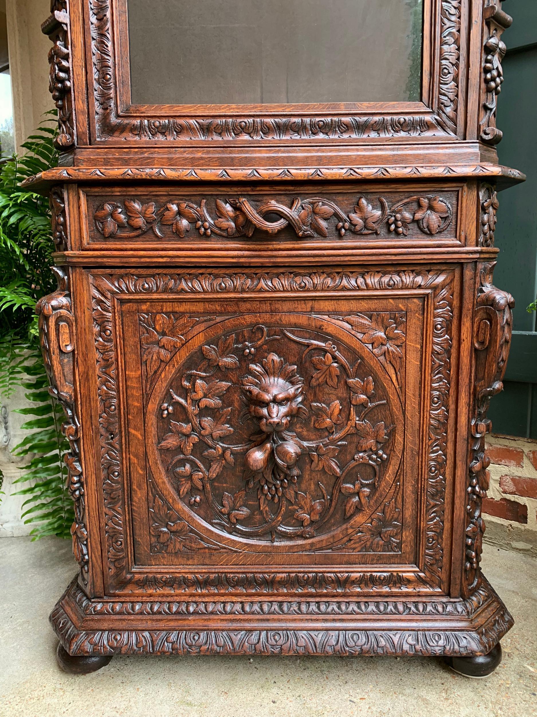 Antique French Carved Oak Cabinet Bookcase Renaissance Lion Black Forest Vitrine 1