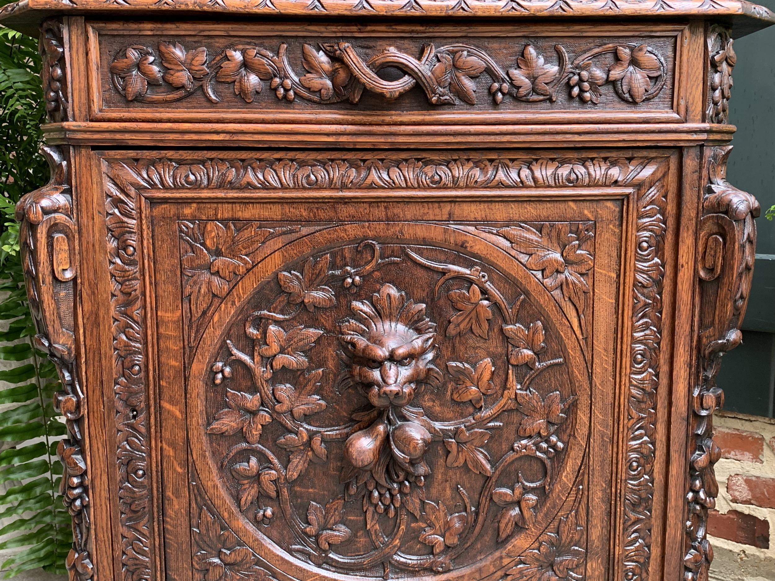 Antique French Carved Oak Cabinet Bookcase Renaissance Lion Black Forest Vitrine 3