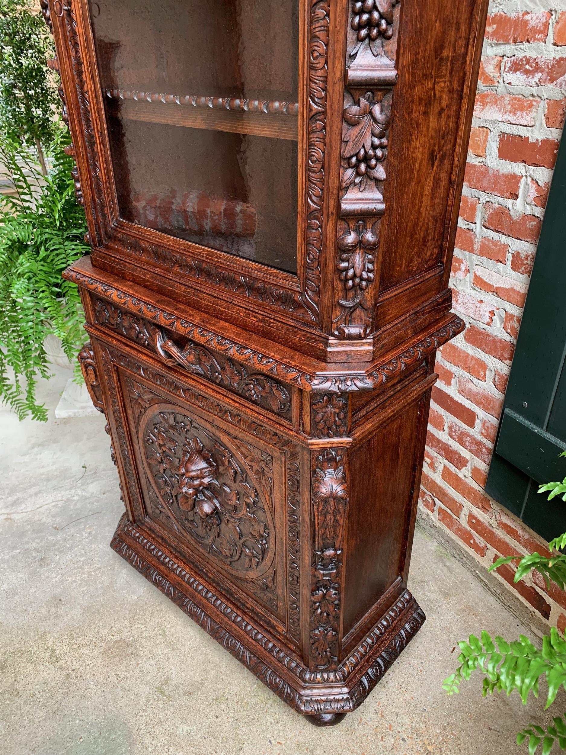 Antique French Carved Oak Cabinet Bookcase Renaissance Lion Black Forest Vitrine 4