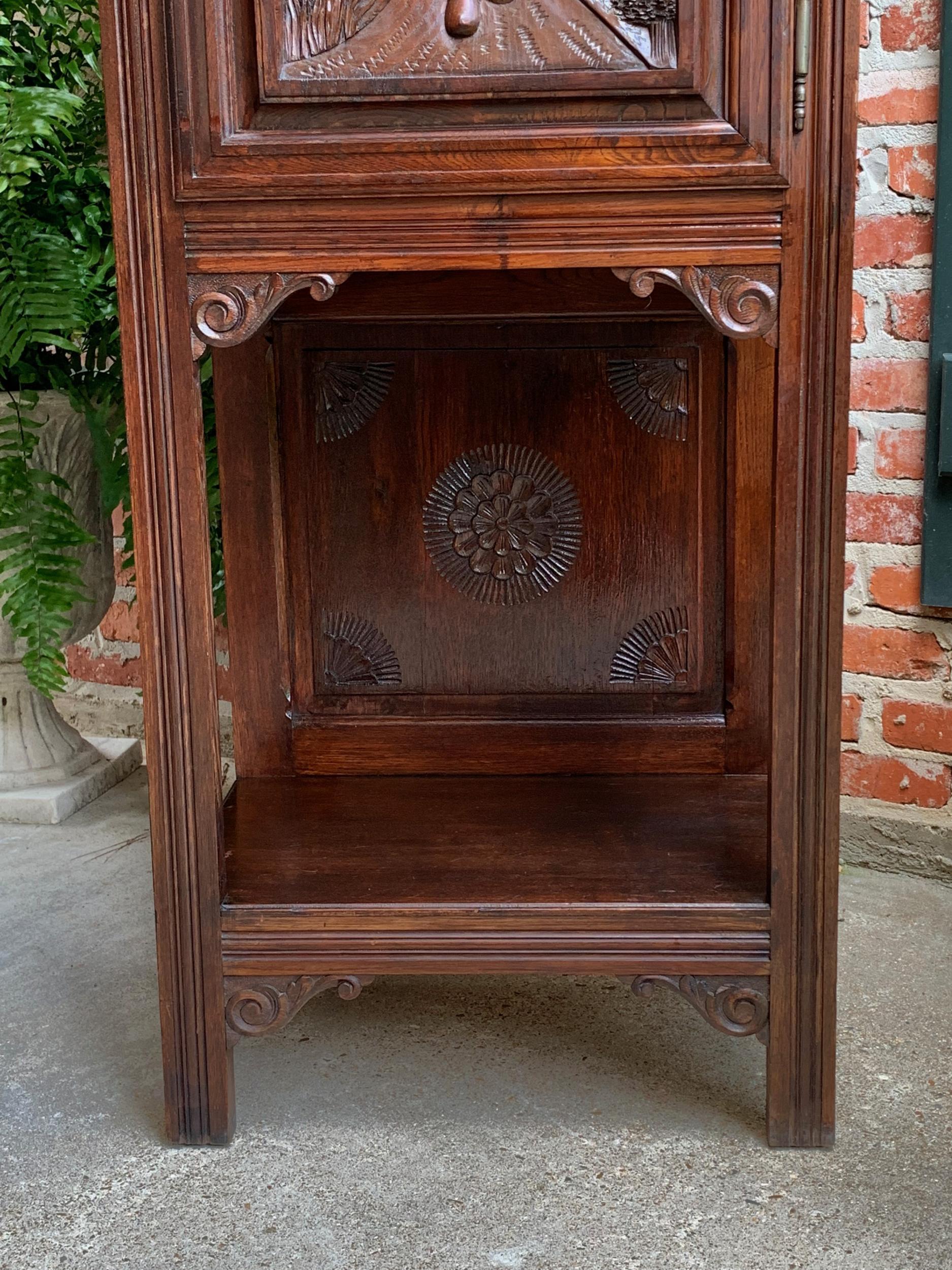 Antique French Carved Oak Cabinet Breton Bagpipe Brittany Petite Bookcase Wine 2