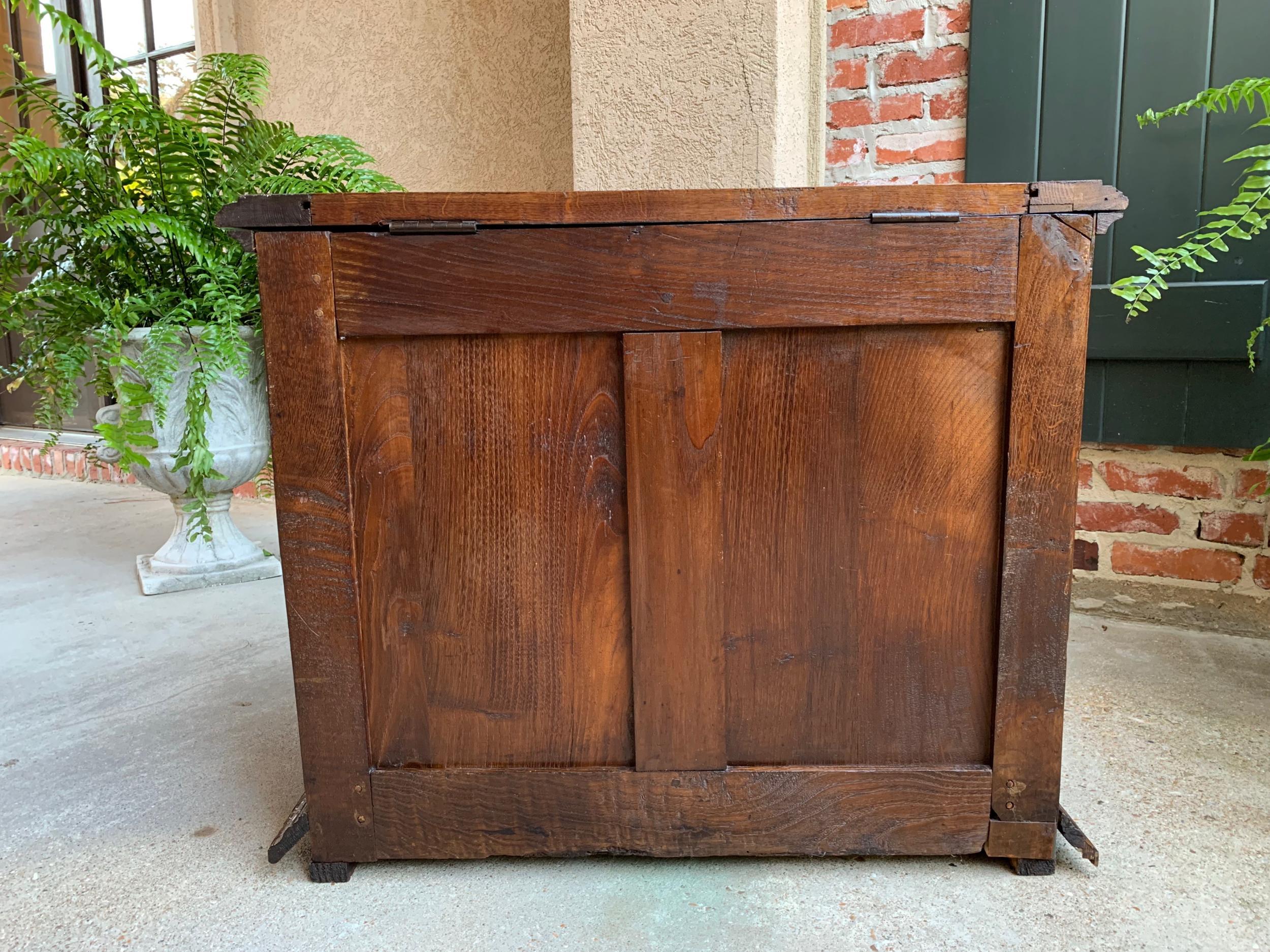Antique French Carved Oak Chest Trunk Cabinet Breton Brittany Bocce Ball 19th C 6