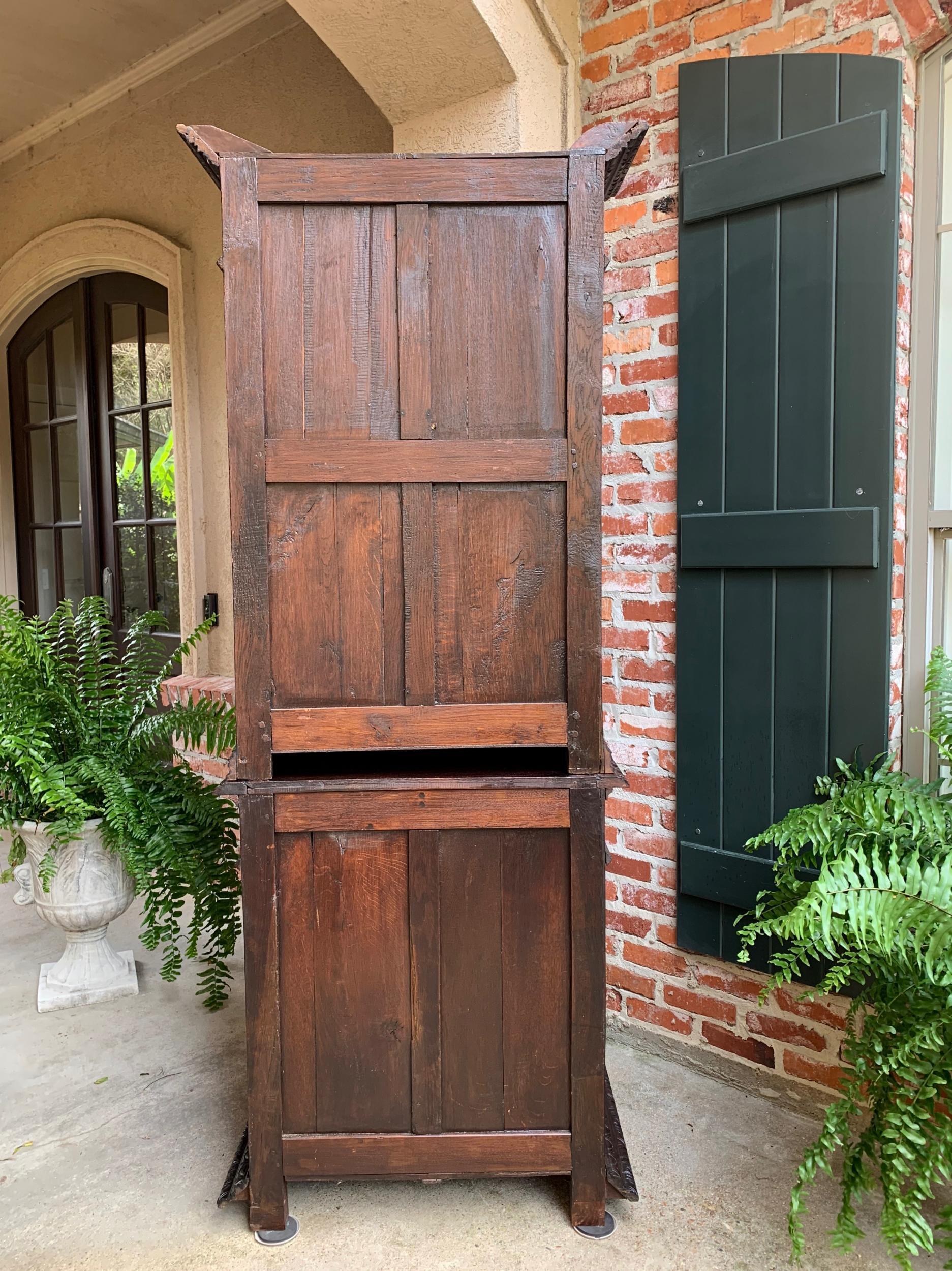 Antique French Carved Oak Hunt Cabinet Bookcase Black Forest Renaissance Display 6