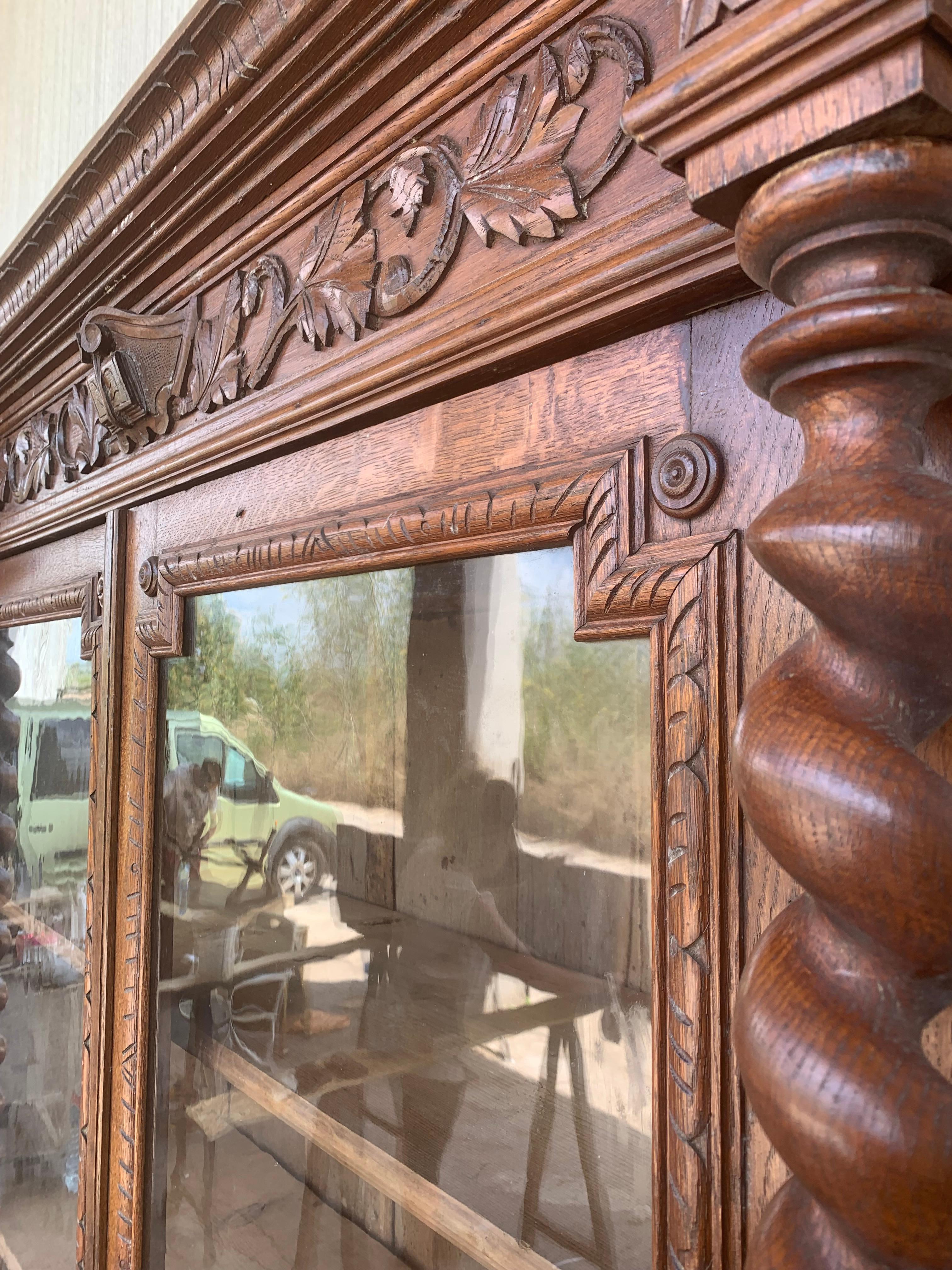 Bronze Antique French Carved Oak Vitrine Cabinet Bookcase Barley Twist Renaissance For Sale