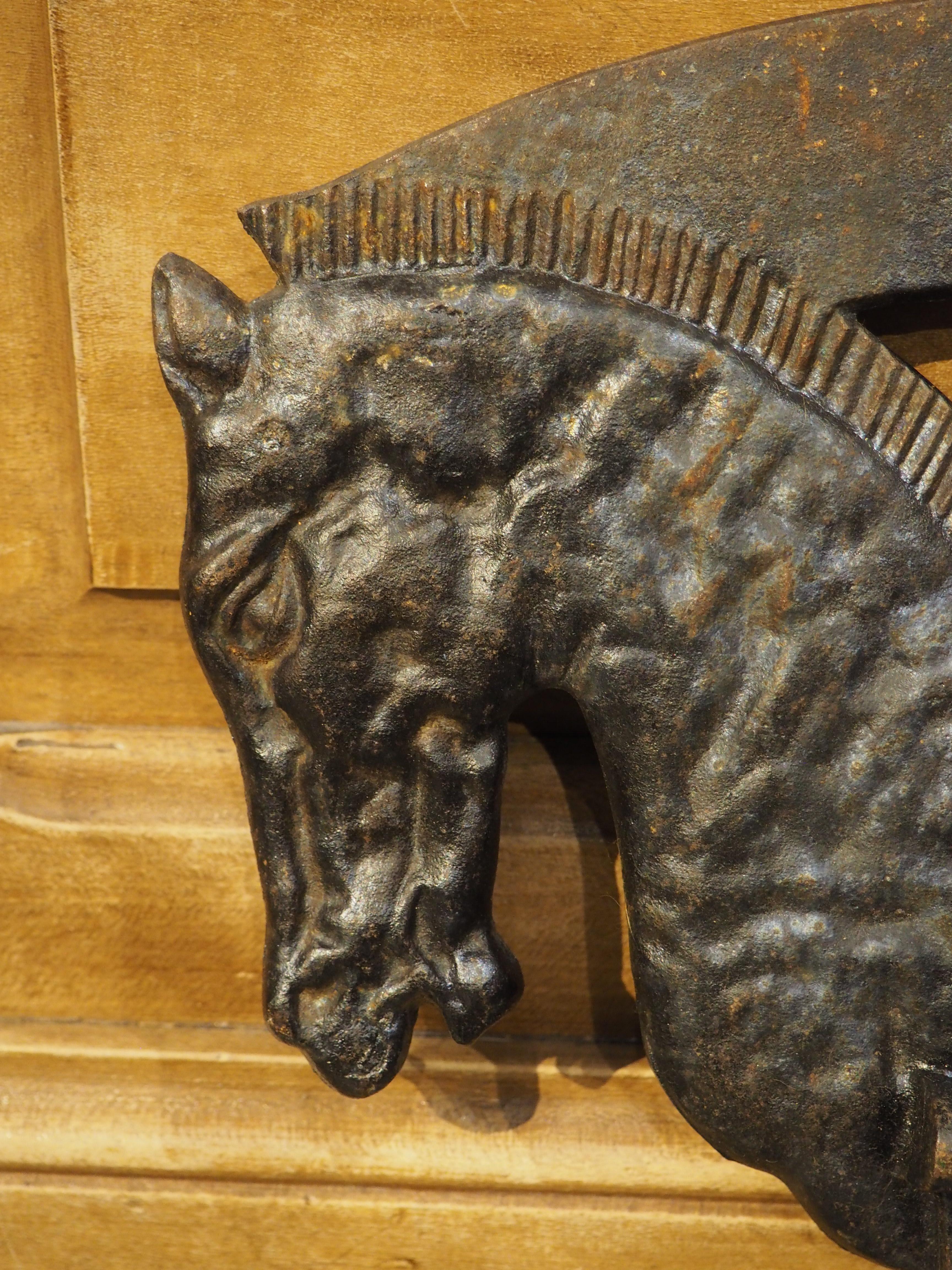 Ancienne escargot de jardinière française en fonte à double tête de cheval, 19ème siècle 2