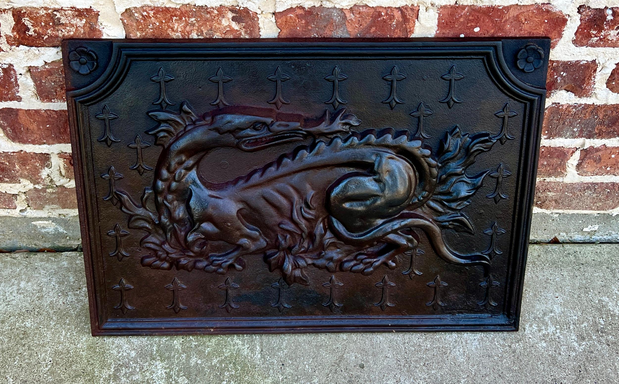 Ancienne plaque de cheminée française en fonte « Le Salamander des Français » en vente 6