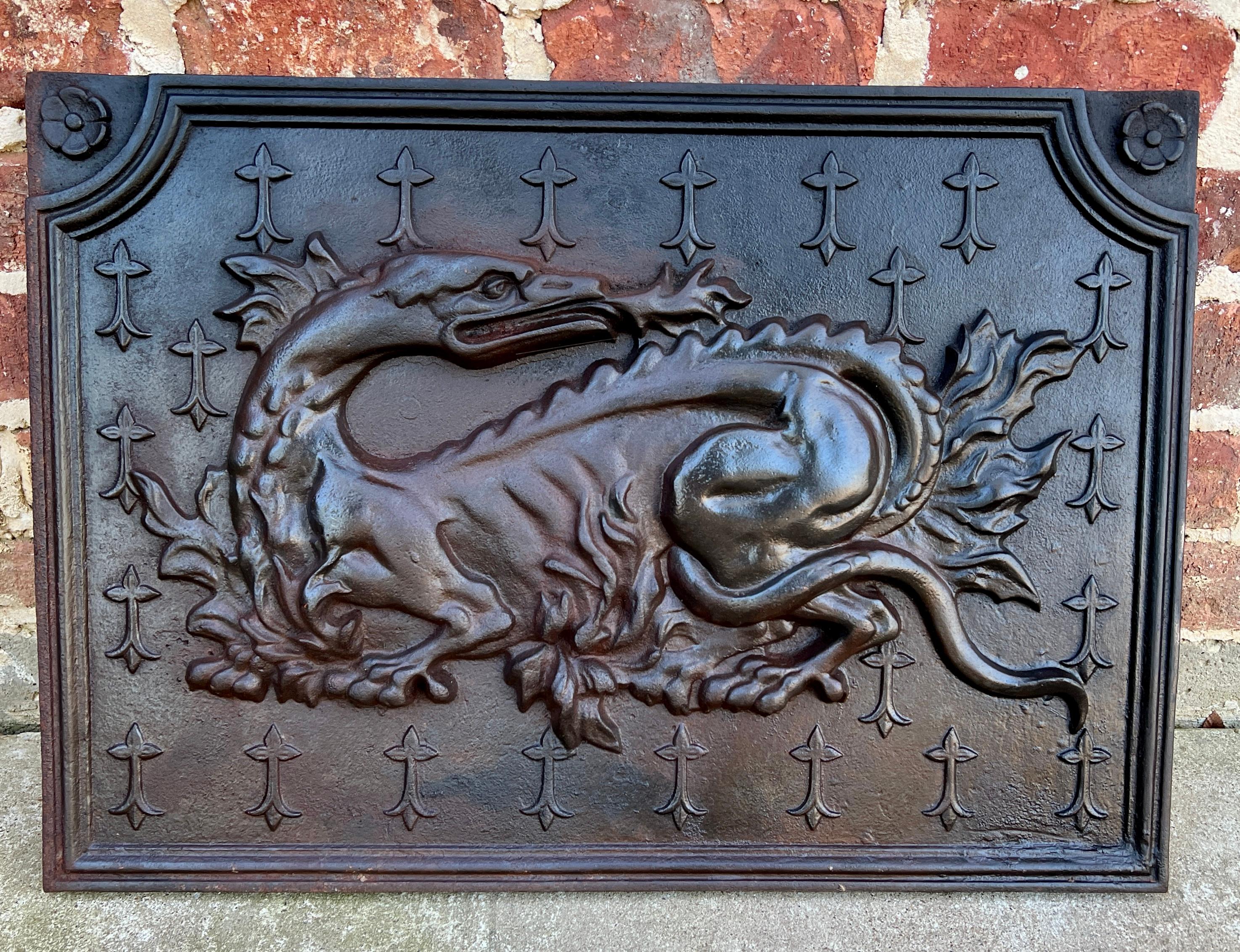 Ancienne plaque de cheminée française en fonte « Le Salamander des Français » en vente 9