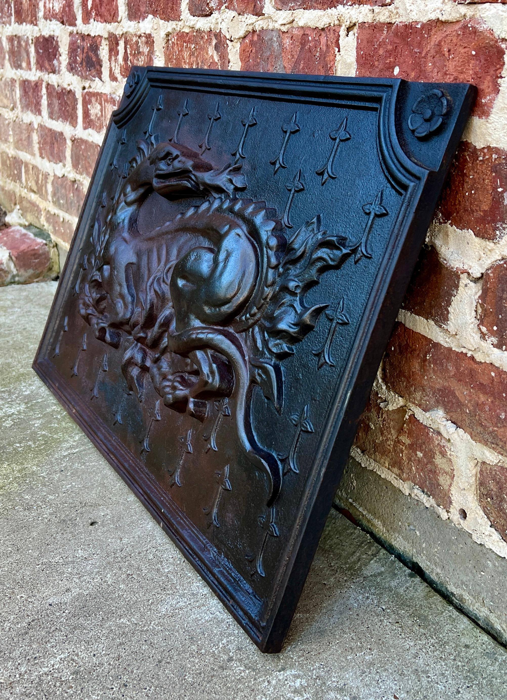 SUPERB and RARE Antique French Cast Iron Fireplace Fire Back ~~c. 1890s

This HANDSOME statement piece will add charm and character to your home or castle perfect for living area, bedroom, or even a large country kitchen fireplace or hearth~~expert
