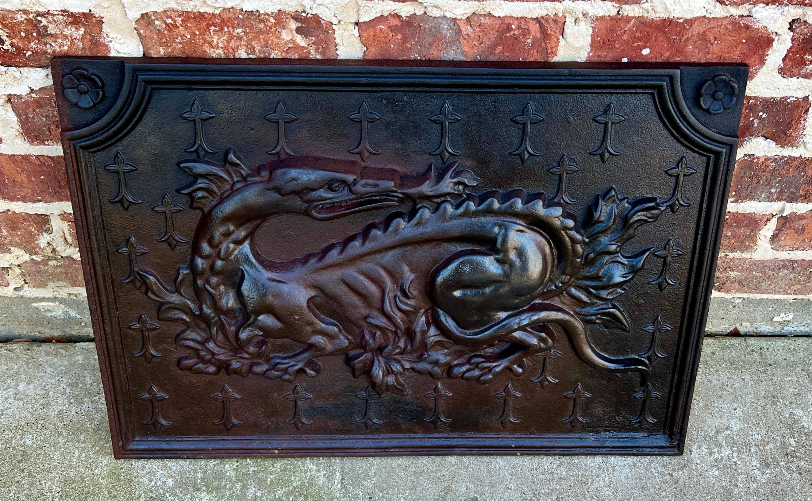 Antike französische Gusseisen-Kaminplatte mit Kaminsims „The Salamander of Francois“ aus Gusseisen (Neorenaissance) im Angebot