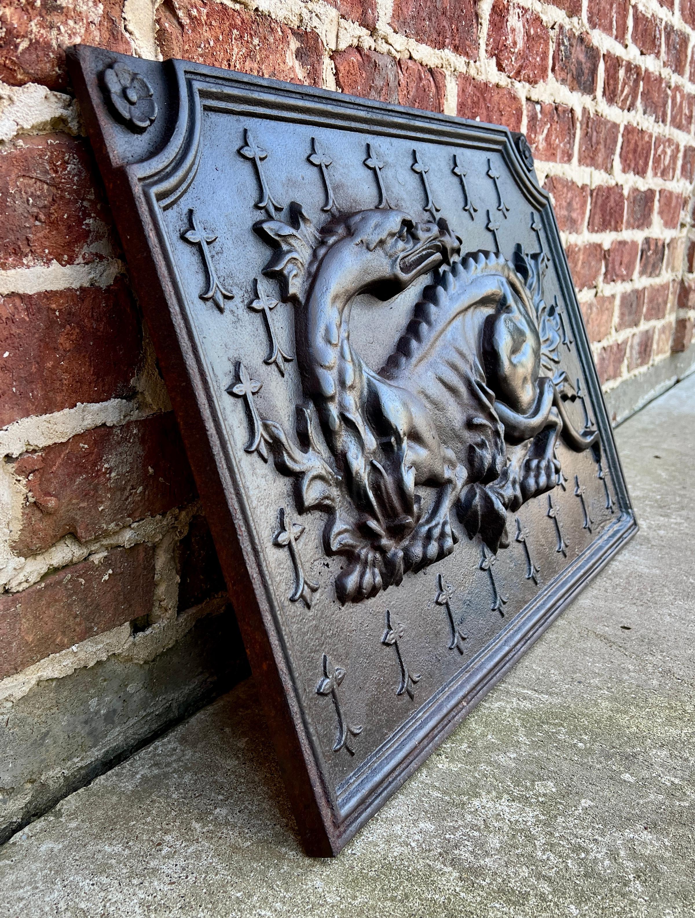 Ancienne plaque de cheminée française en fonte « Le Salamander des Français » Bon état - En vente à Tyler, TX