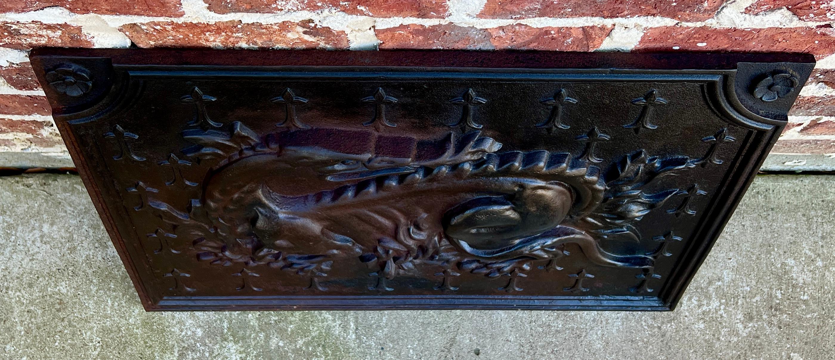 Antike französische Gusseisen-Kaminplatte mit Kaminsims „The Salamander of Francois“ aus Gusseisen im Angebot 1
