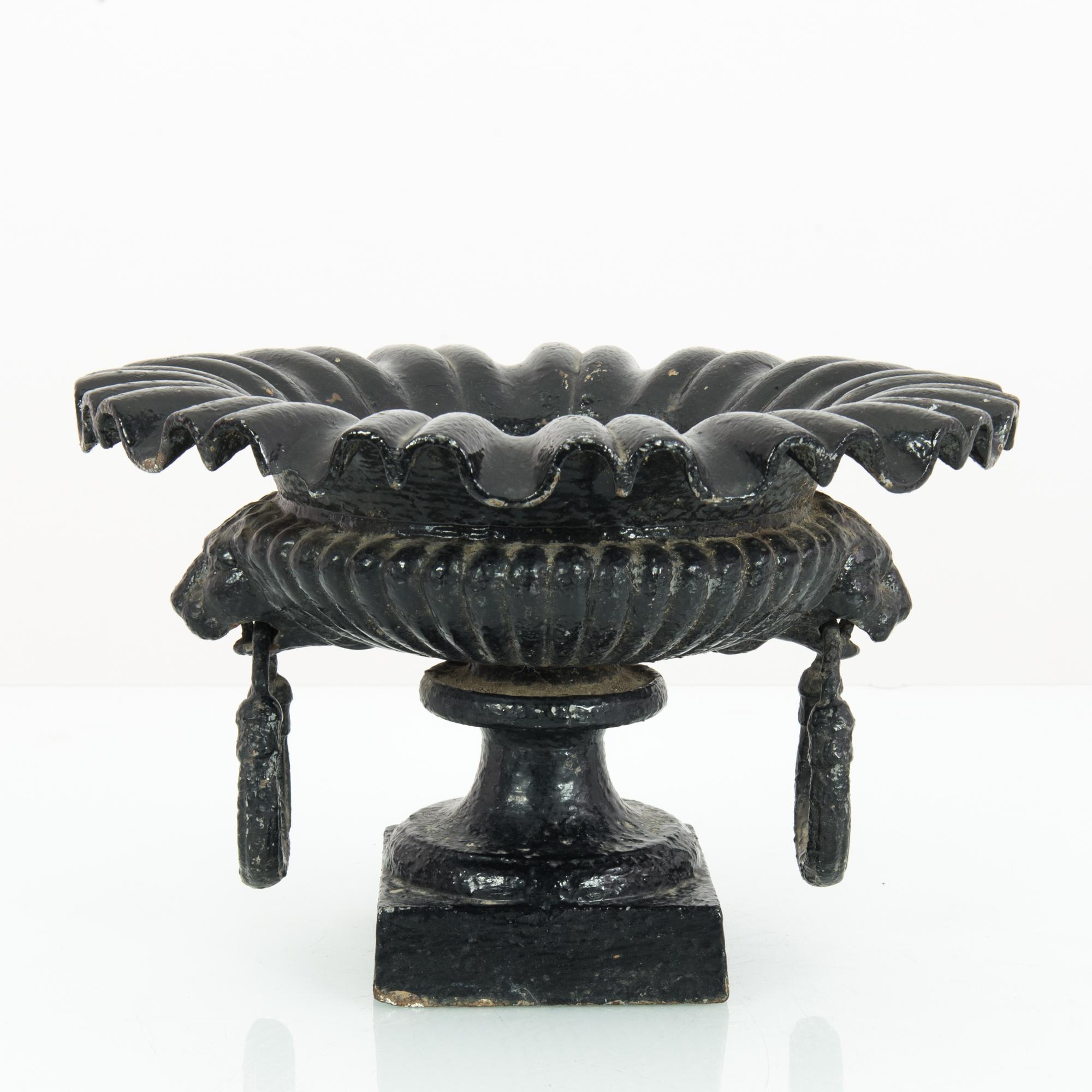 This cast iron planter with a square base was made in France. It features a flared, fluted rim and a lobed body, revealing a neoclassical influence. Rings dangle from the mouths of lion heads on the sides.