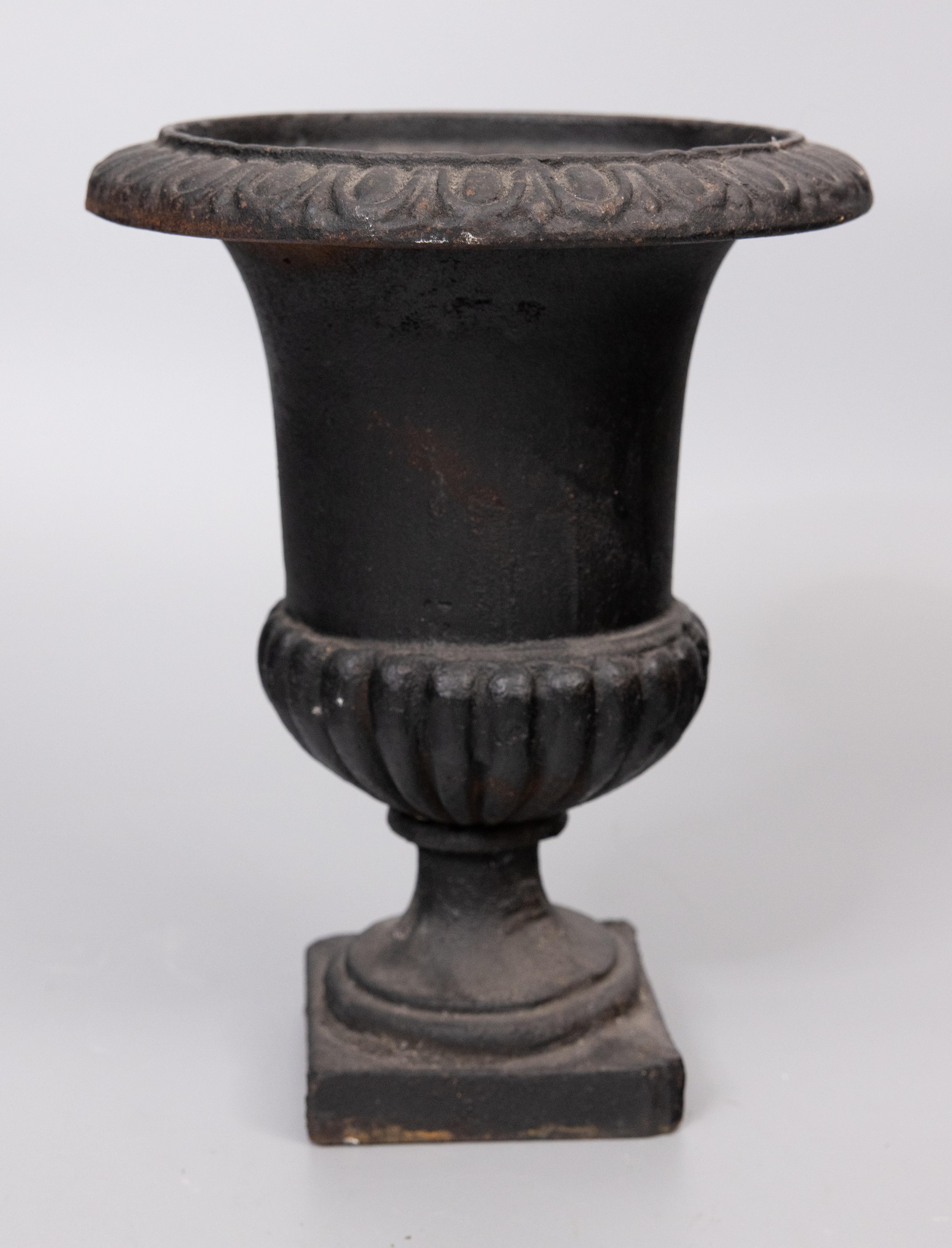 A stylish antique early 20th-century French neoclassical style cast iron urn or planter. This fine jardiniere is solid and heavy with a lovely patina, and would be lovely displayed indoors or outdoors.

DIMENSIONS
8.5