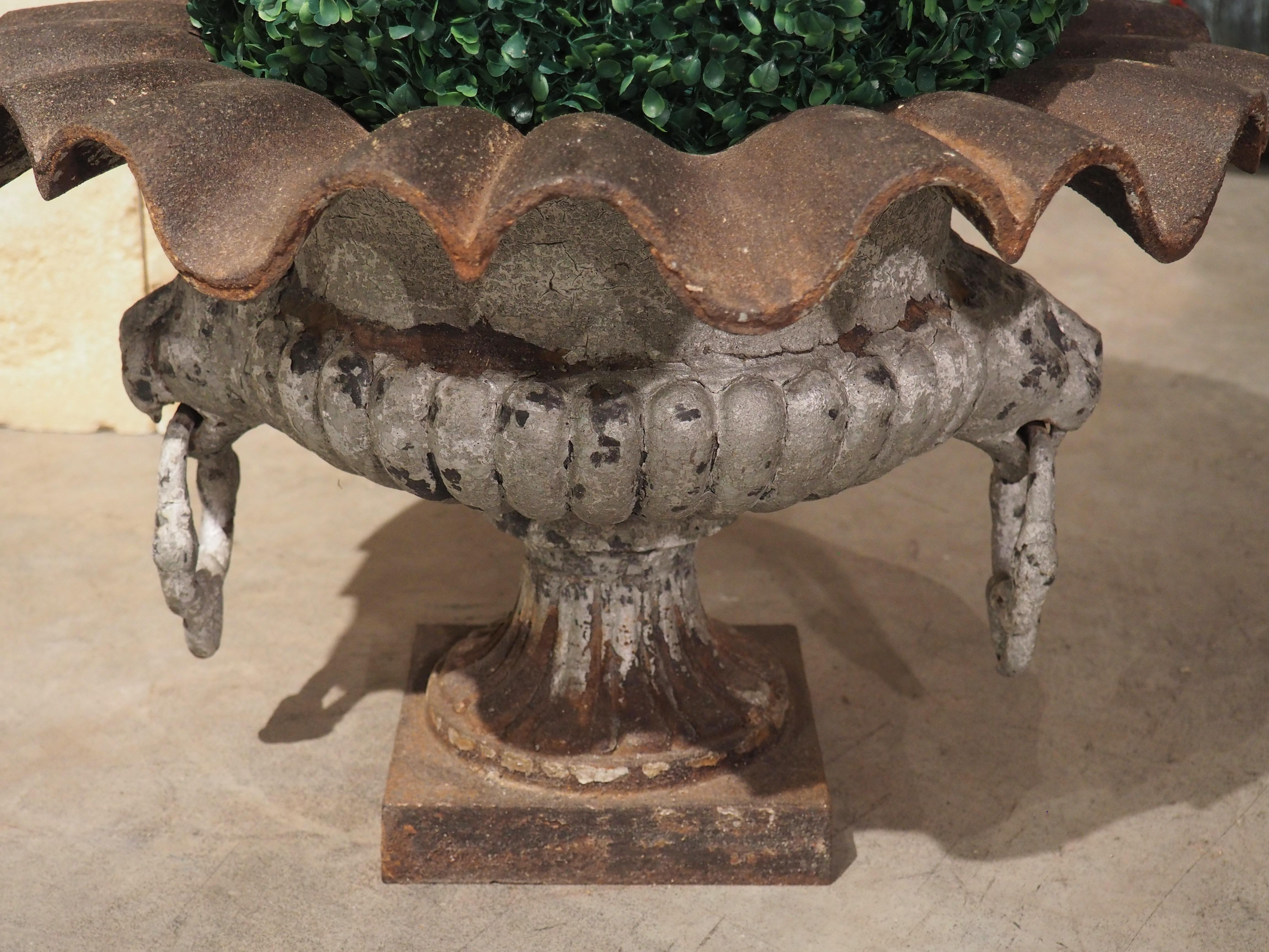 Antique French Cast Iron Vase with Lion Head Handles and Gardroons, 19th Century In Good Condition In Dallas, TX