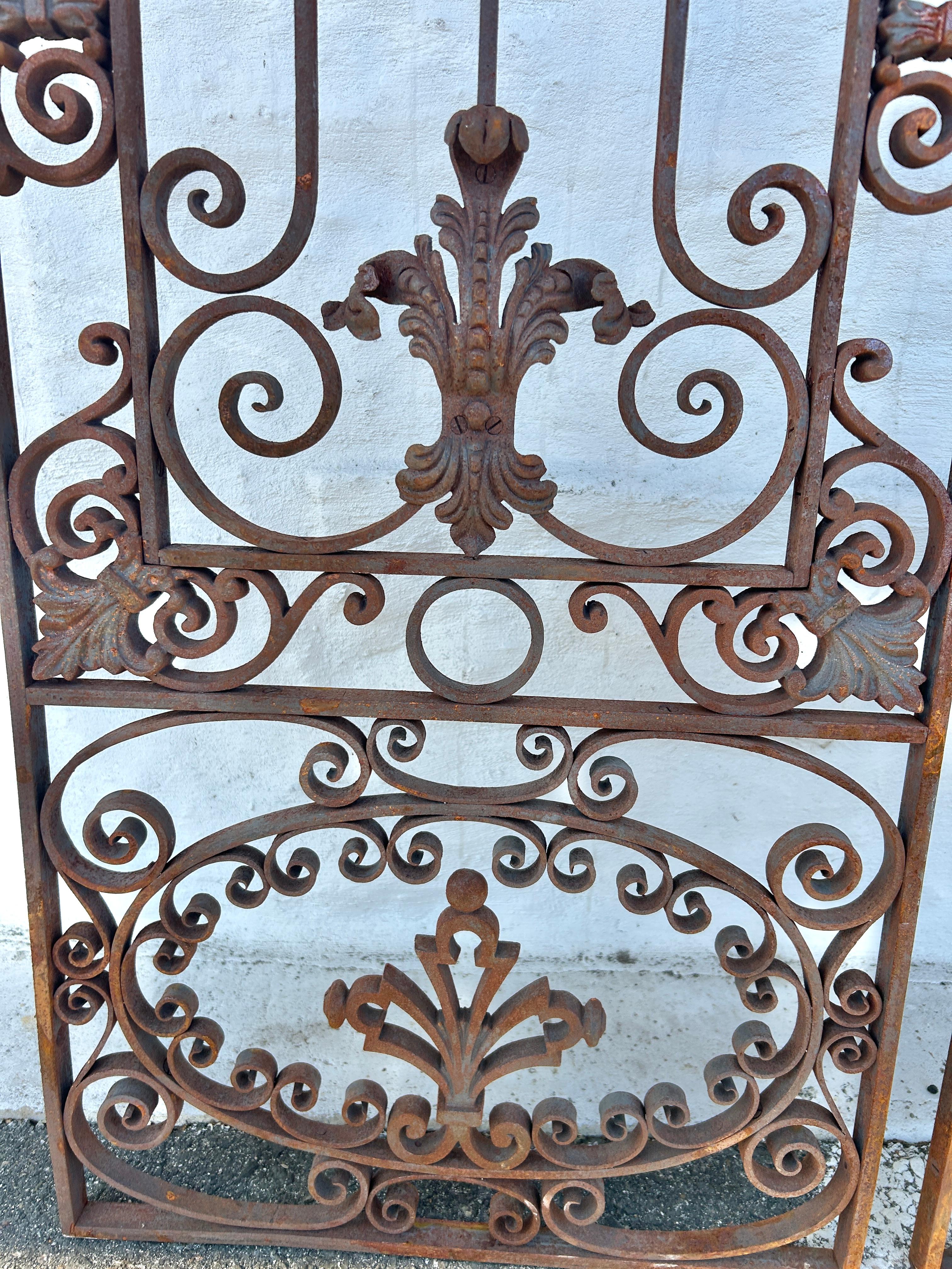 Antique French Colonial Wrought Iron Architectural Garden Gates or Door Guards In Good Condition For Sale In Wilton, CT