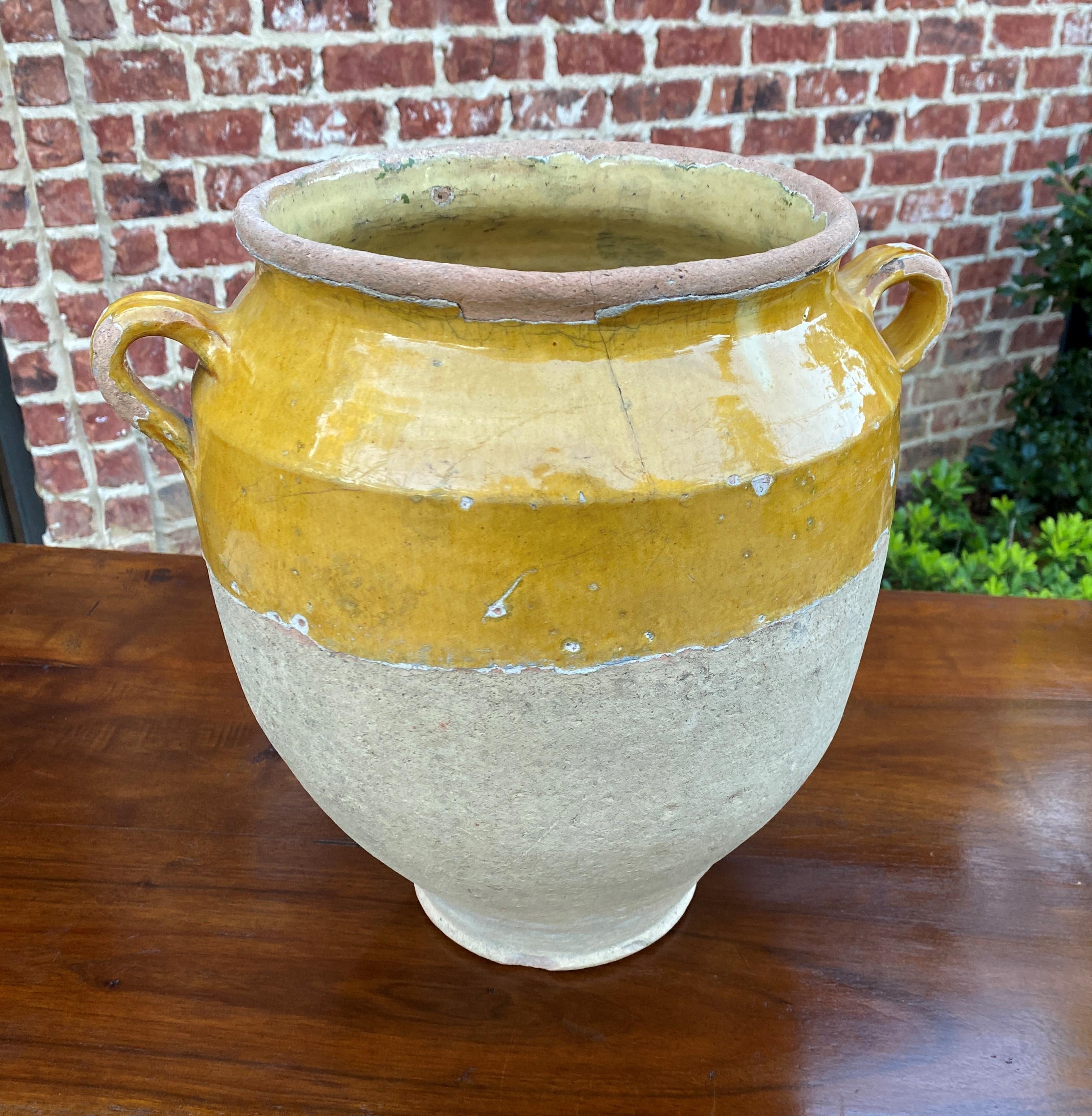 Antique French Confit Pot Large Gold Yellow Glazed Pottery Jar Earthenware #2 3