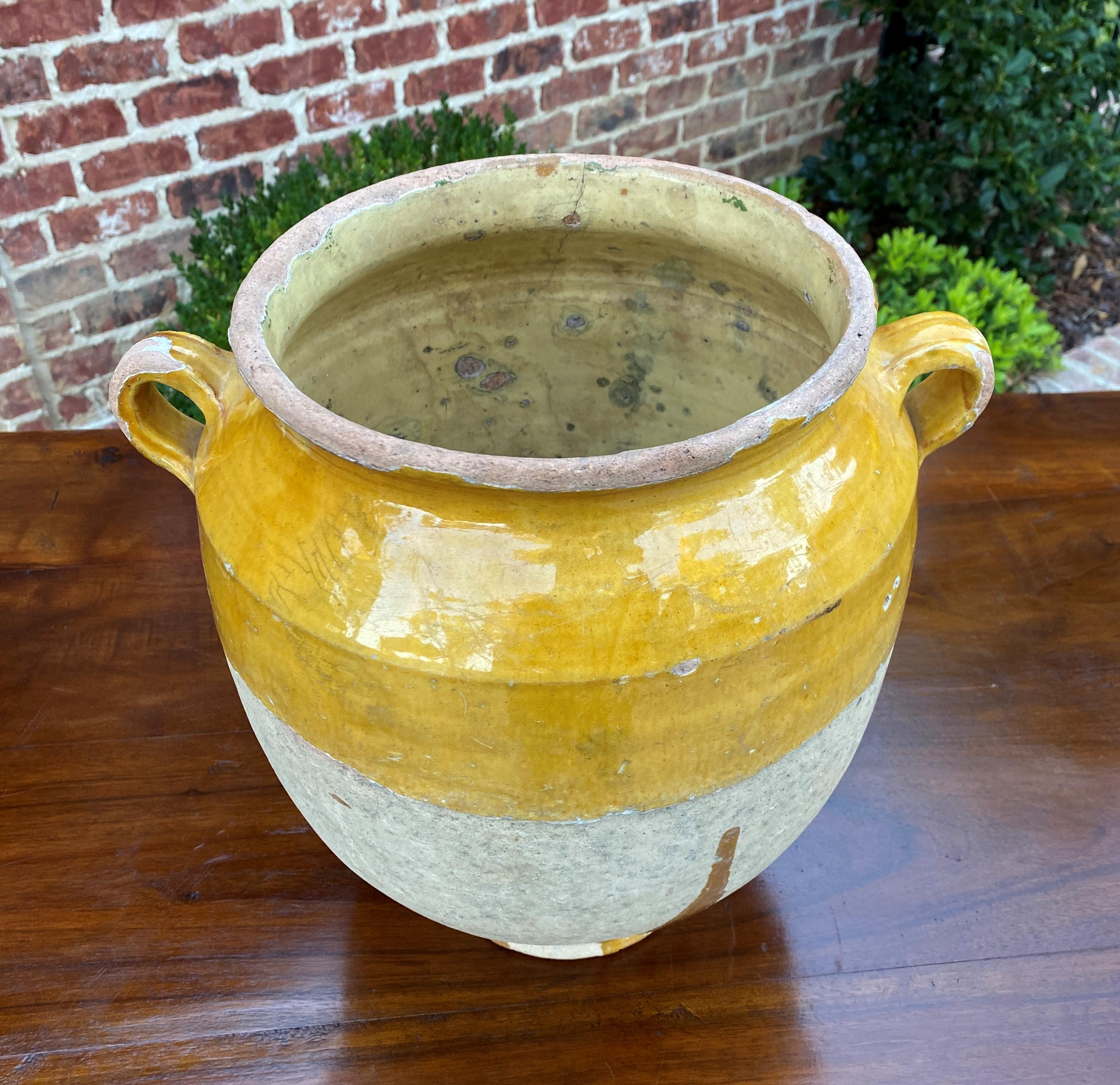 earthenware pot of gold