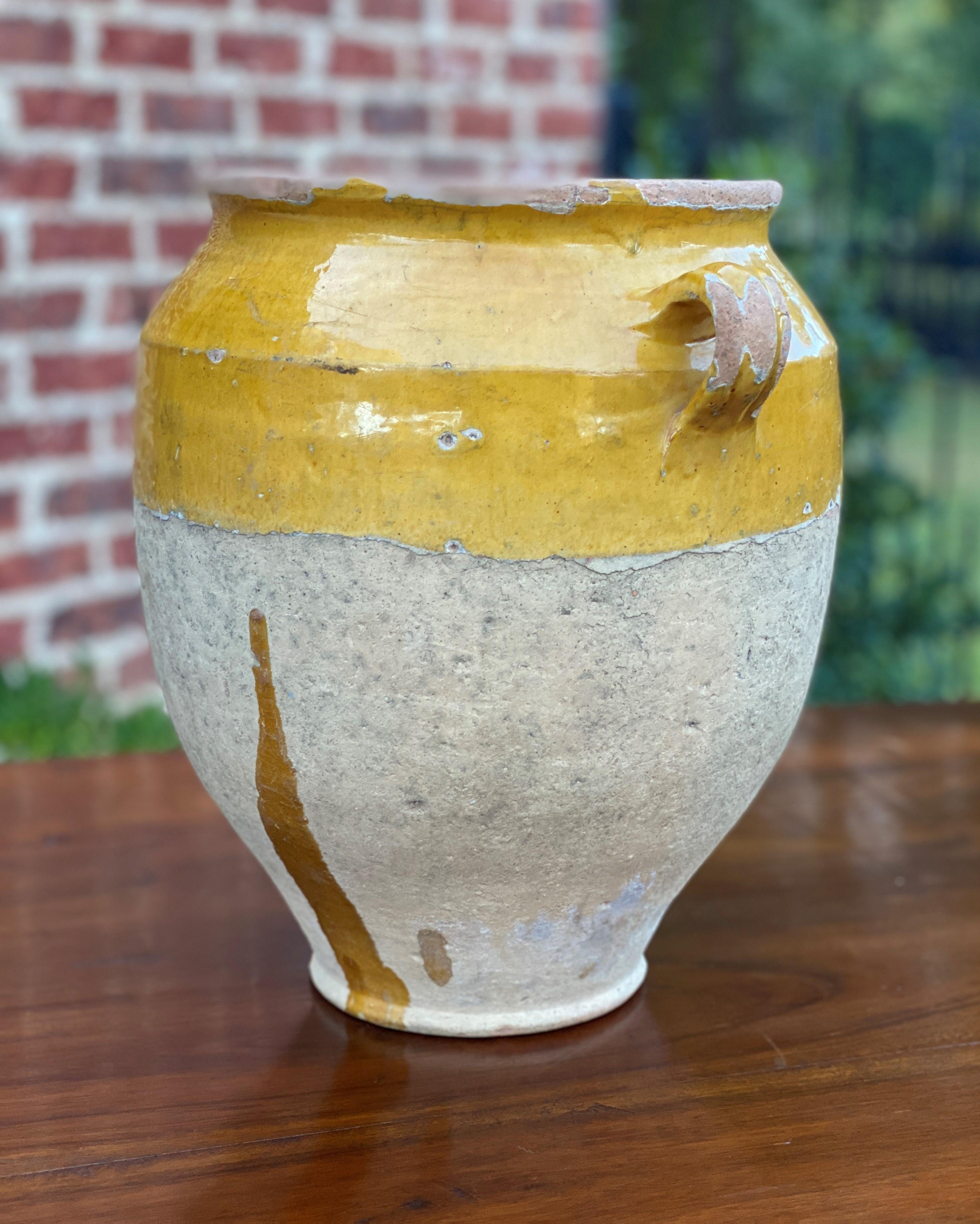 Early 20th Century Antique French Confit Pot Large Gold Yellow Glazed Pottery Jar Earthenware #2