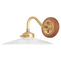 Antique French Coolie Glass Flat Brass Wall Kitchen Task Light Sconce