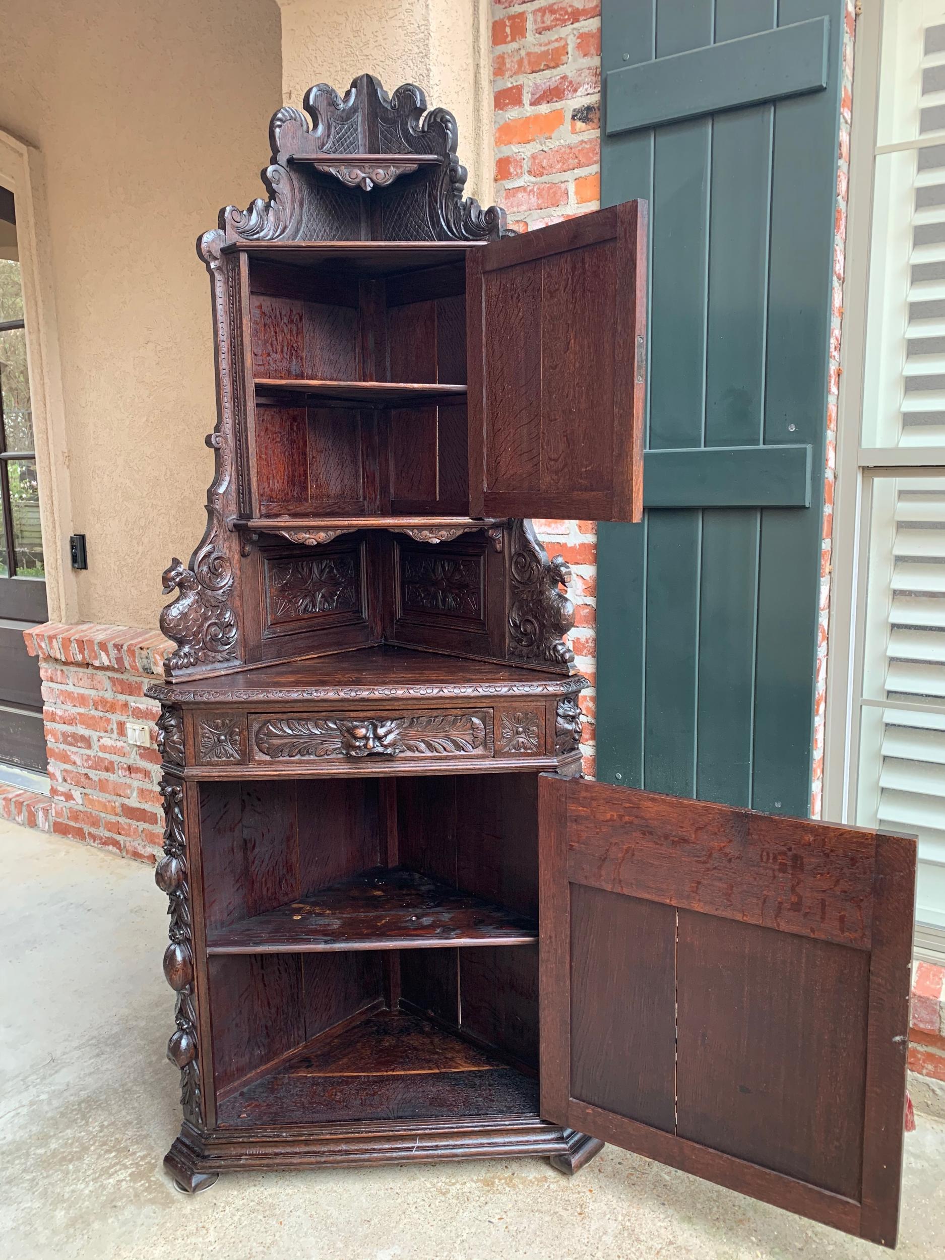 Antique French Corner Cabinet Bookcase Carved Oak Black Forest Renaissance 4