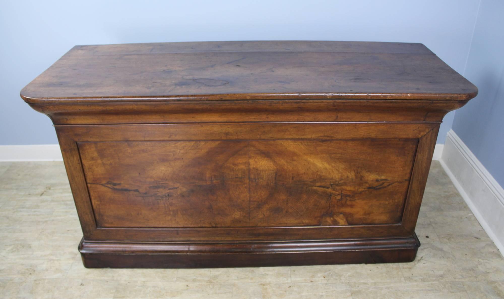 19th Century Antique French Counter Desk with Wellington-Style Cabinet