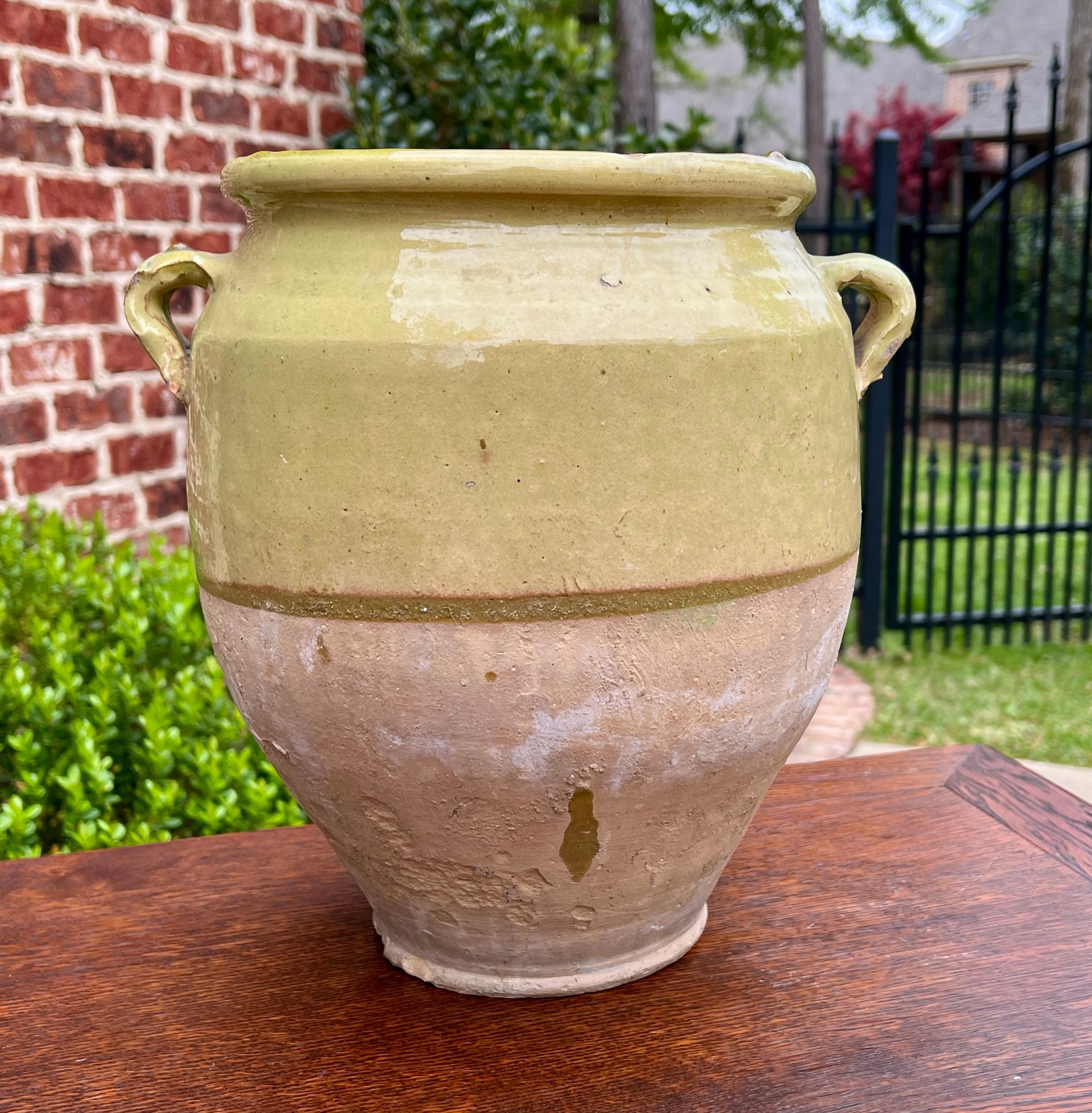 Antique French Country Confit Pot Pottery Jug Glazed Greenish Yellow Large #2 For Sale 4