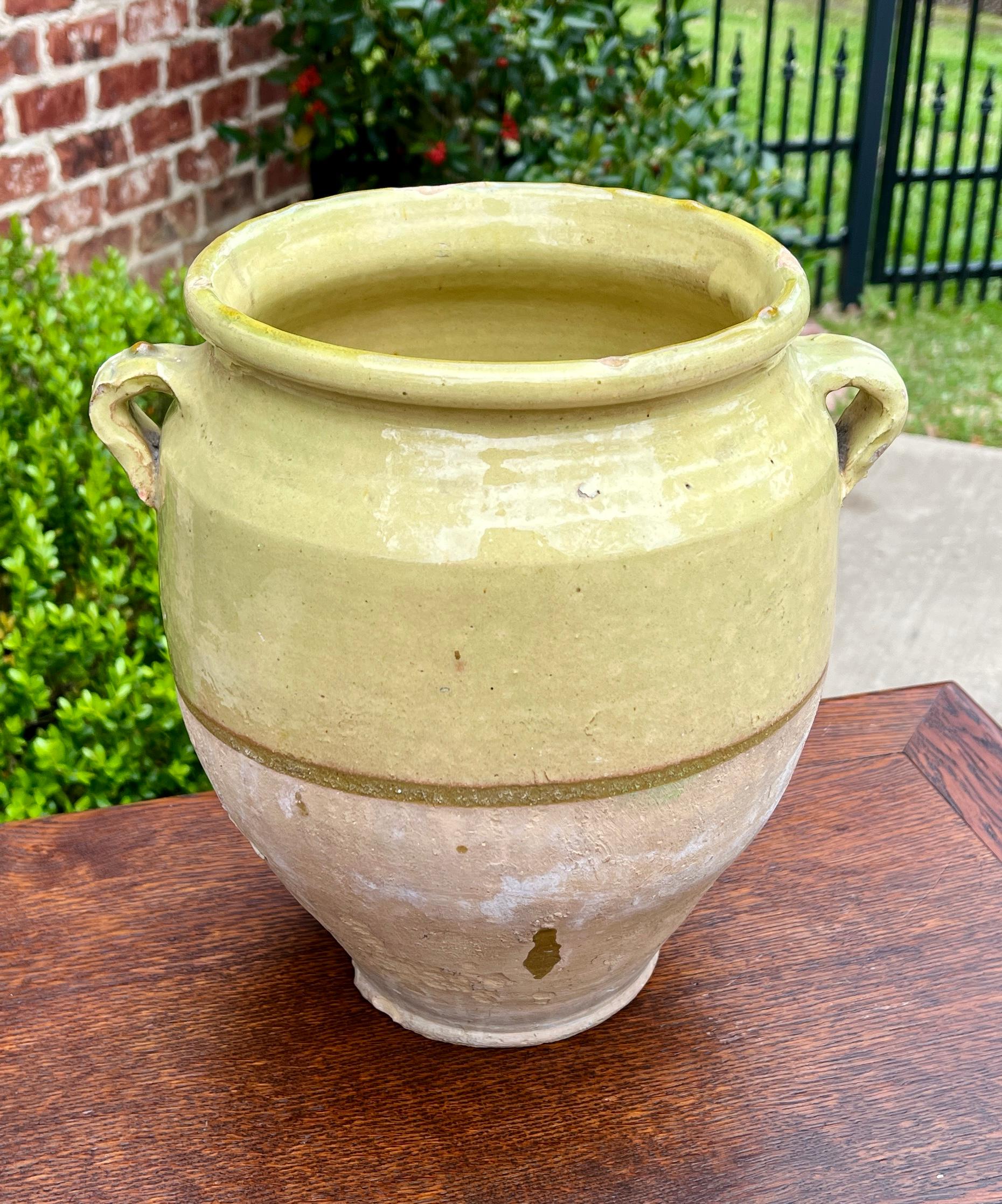 Antique French Country Confit Pot Pottery Jug Glazed Greenish Yellow Large #2 For Sale 5