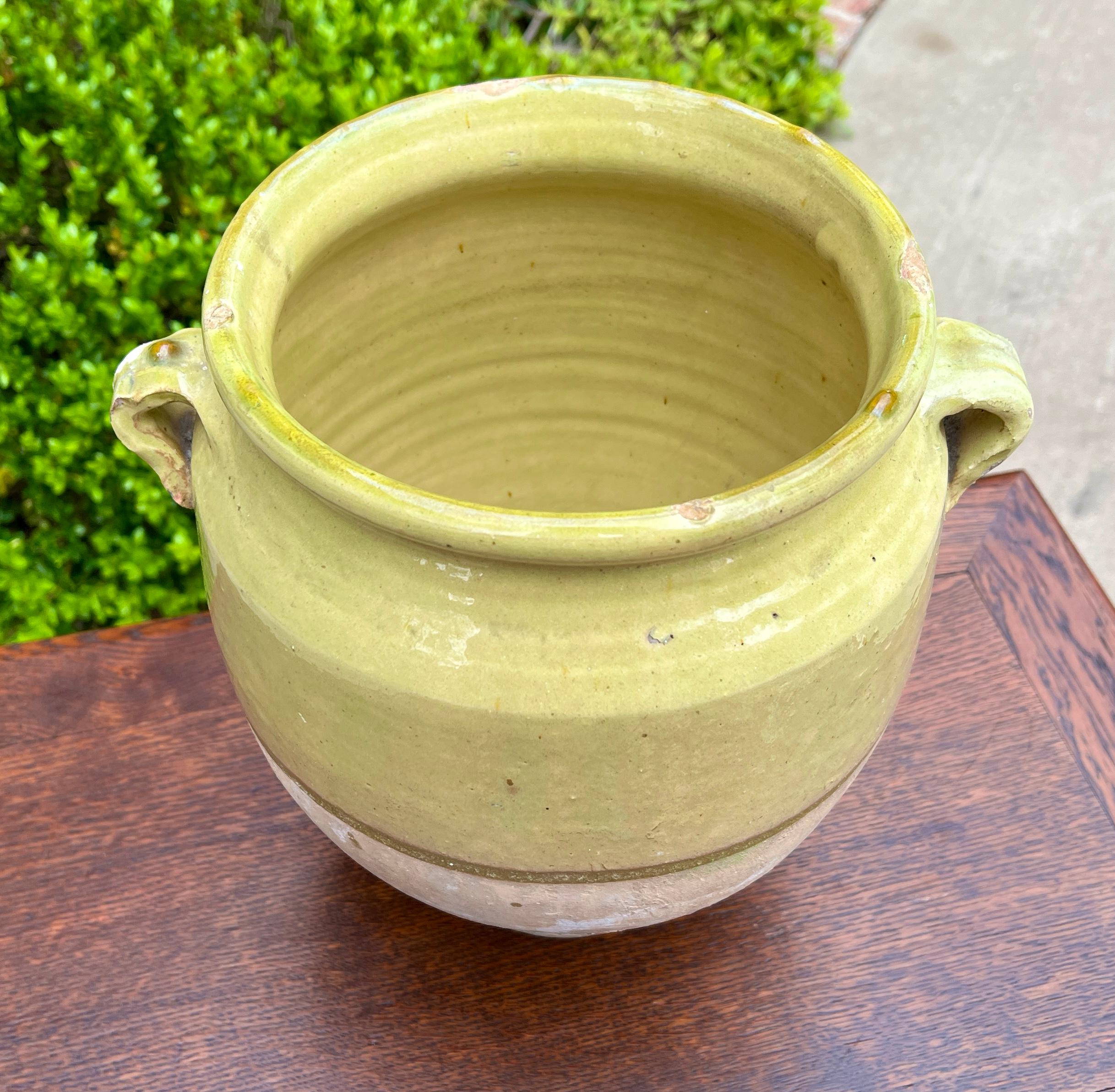Antique French Country Confit Pot Pottery Jug Glazed Greenish Yellow Large #2 For Sale 7