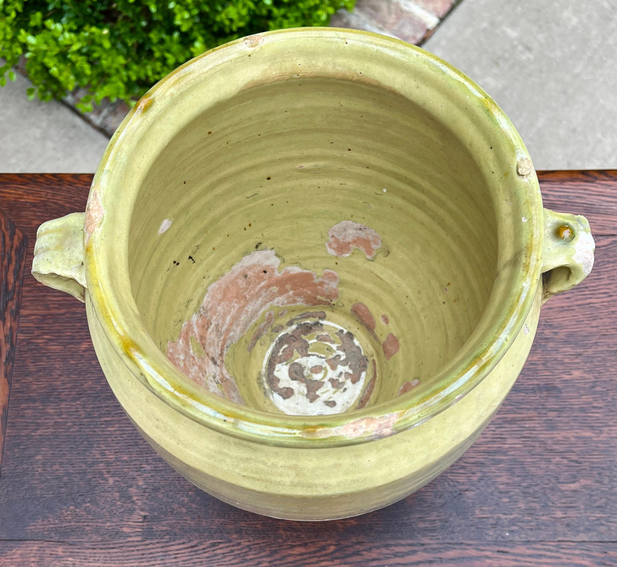 Antique French Country Confit Pot Pottery Jug Glazed Greenish Yellow Large #2 For Sale 1