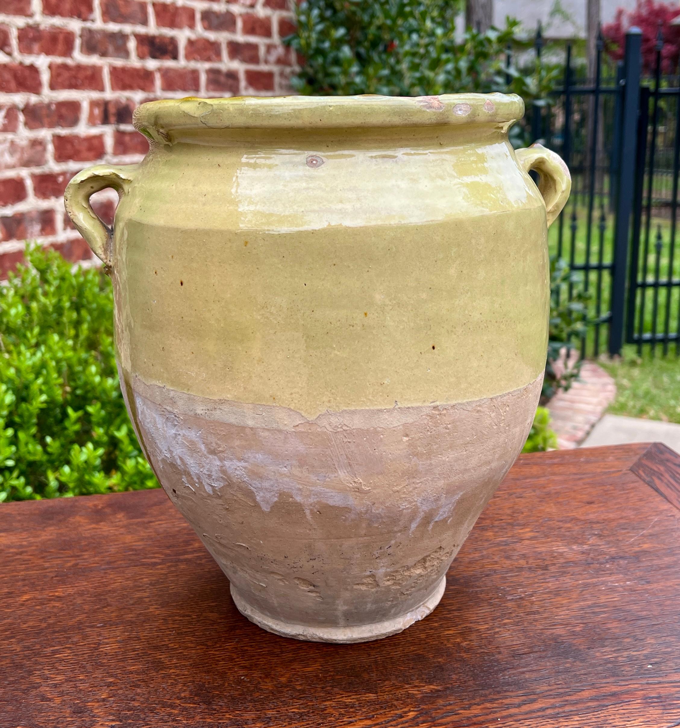 Antique French Country Confit Pot Pottery Jug Glazed Greenish Yellow Large #2 For Sale 3