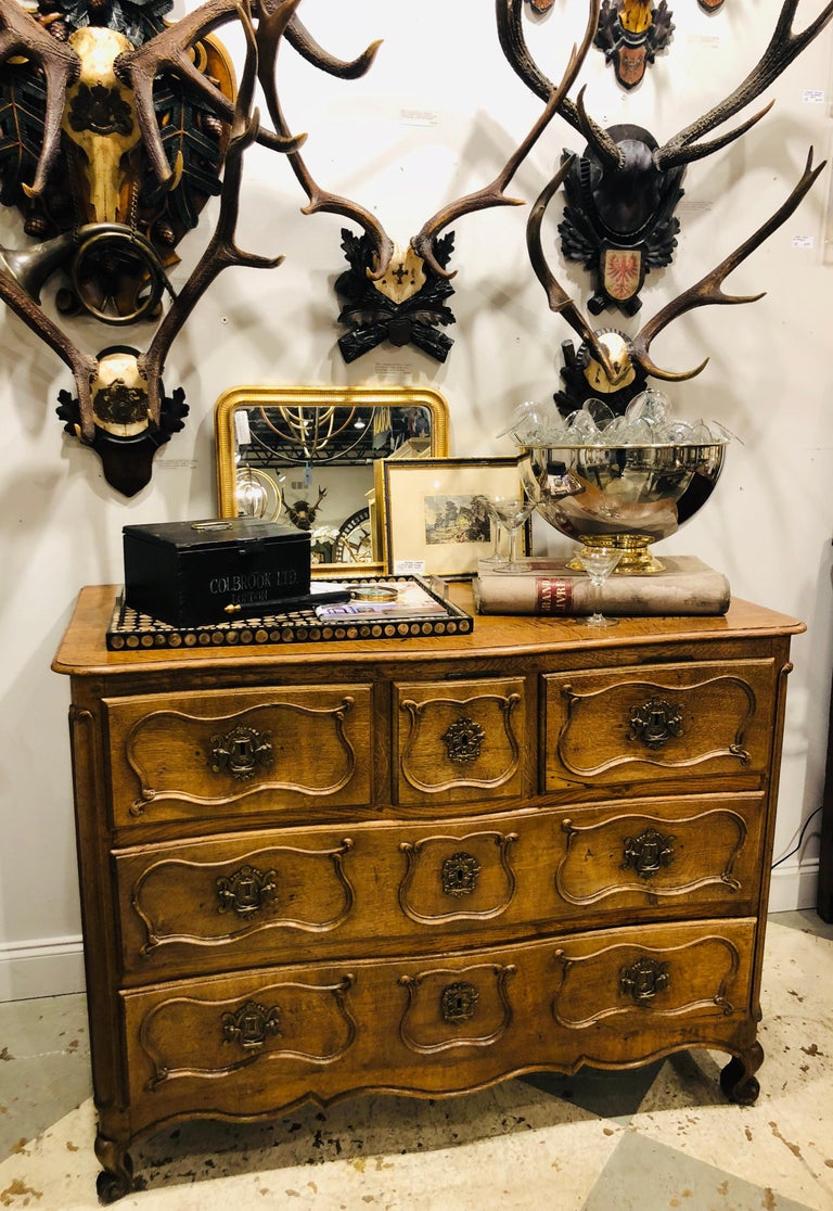 Antique French Curved Front Chest Of Drawers Circa 1900 At 1stdibs