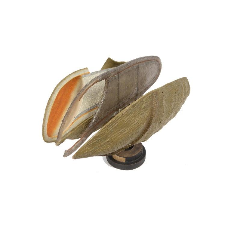 Antique French Didactic Enlarged Model of the Wheat Seed Papier-Mâché, 1890 8
