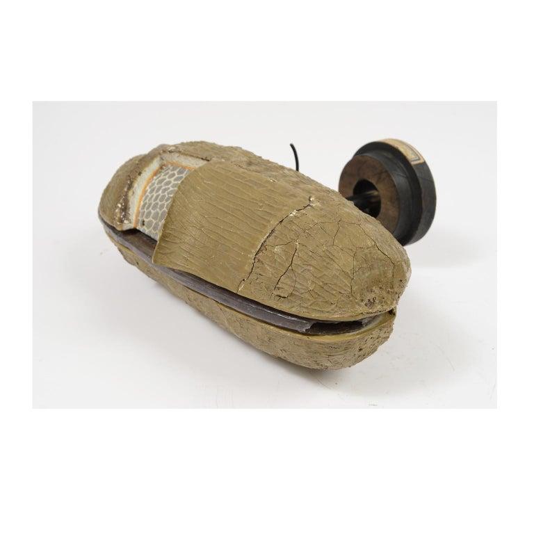 Paper Antique French Didactic Enlarged Model of the Wheat Seed Papier-Mâché, 1890