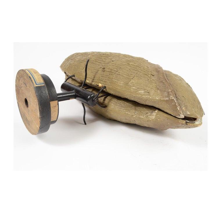 Antique French Didactic Enlarged Model of the Wheat Seed Papier-Mâché, 1890 2