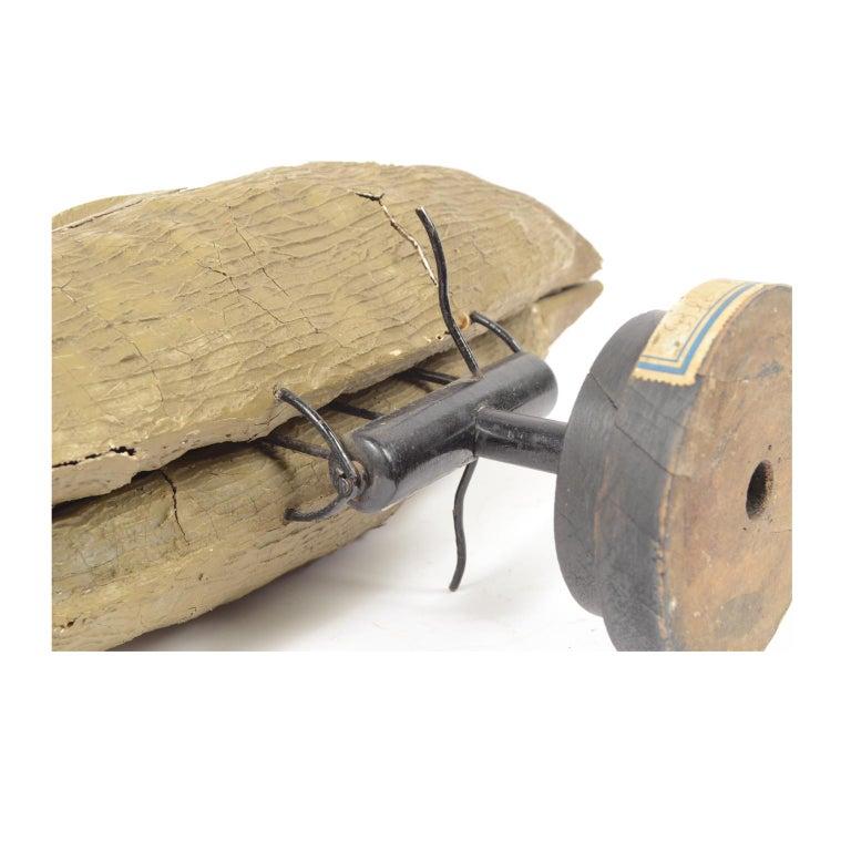 Antique French Didactic Enlarged Model of the Wheat Seed Papier-Mâché, 1890 4