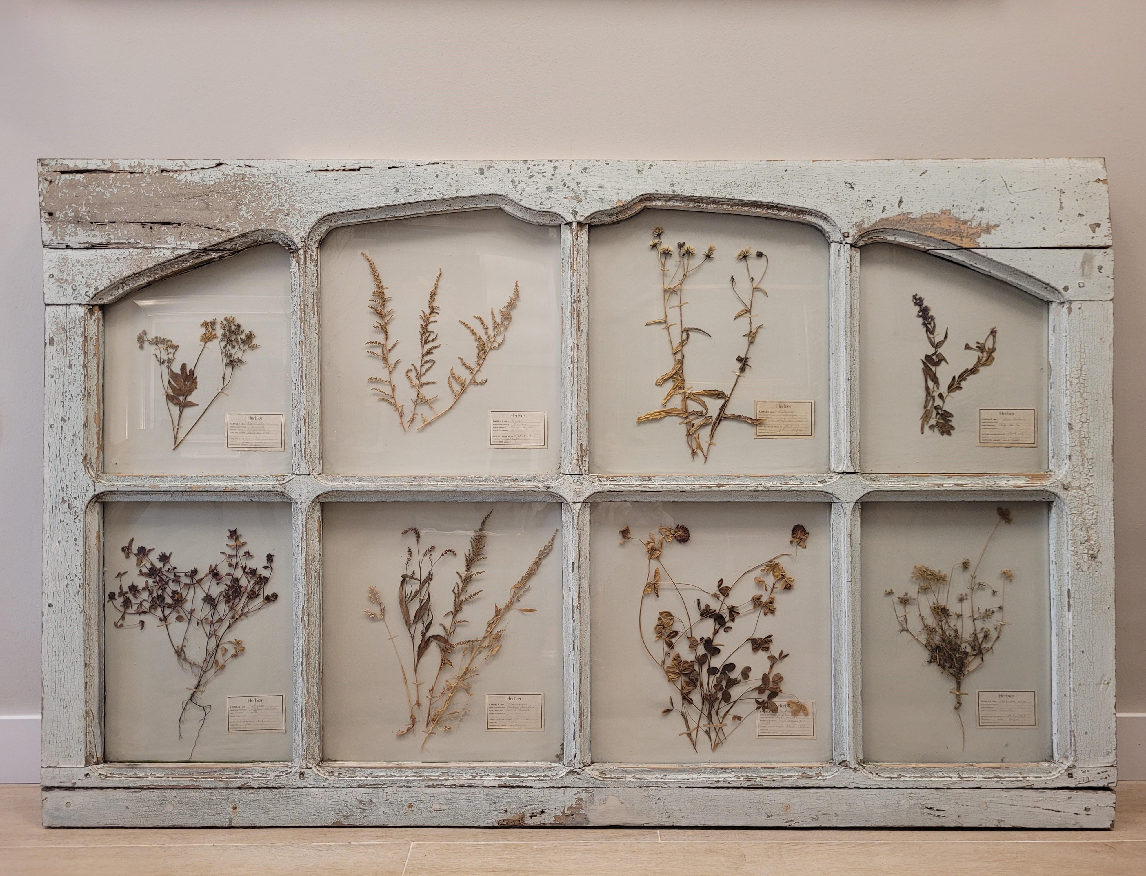 One of a kind Old French Door in Provencal Blue with a  Herbalist or  Pressed Herbs Collection with their description signs on each of them.
Each herb is located in each of the 6 spaces or panels into which the door is divided and configured. A