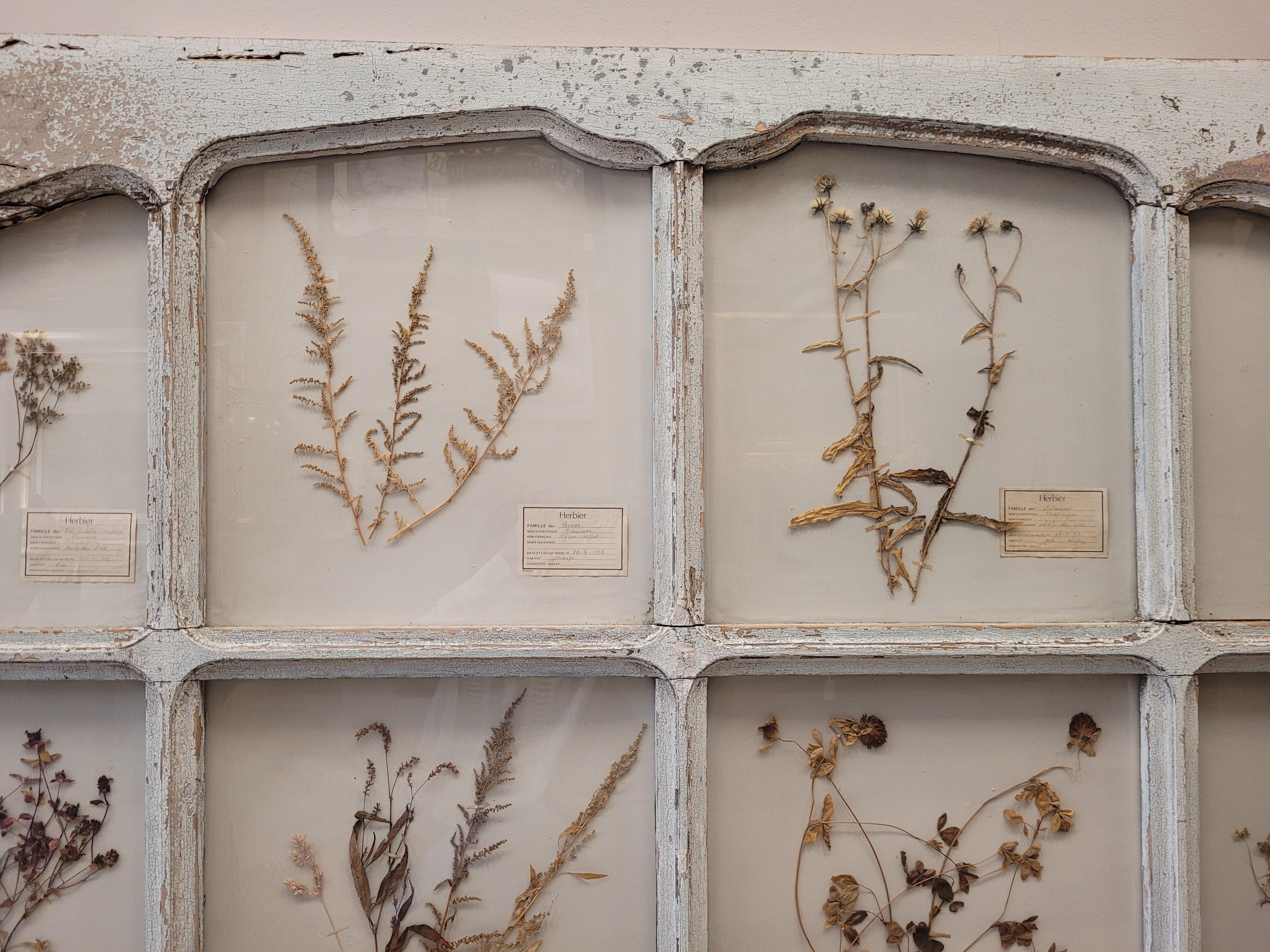 Antique French Door in Provençal blue with herbalist or pressed flowers In Good Condition In Valladolid, ES