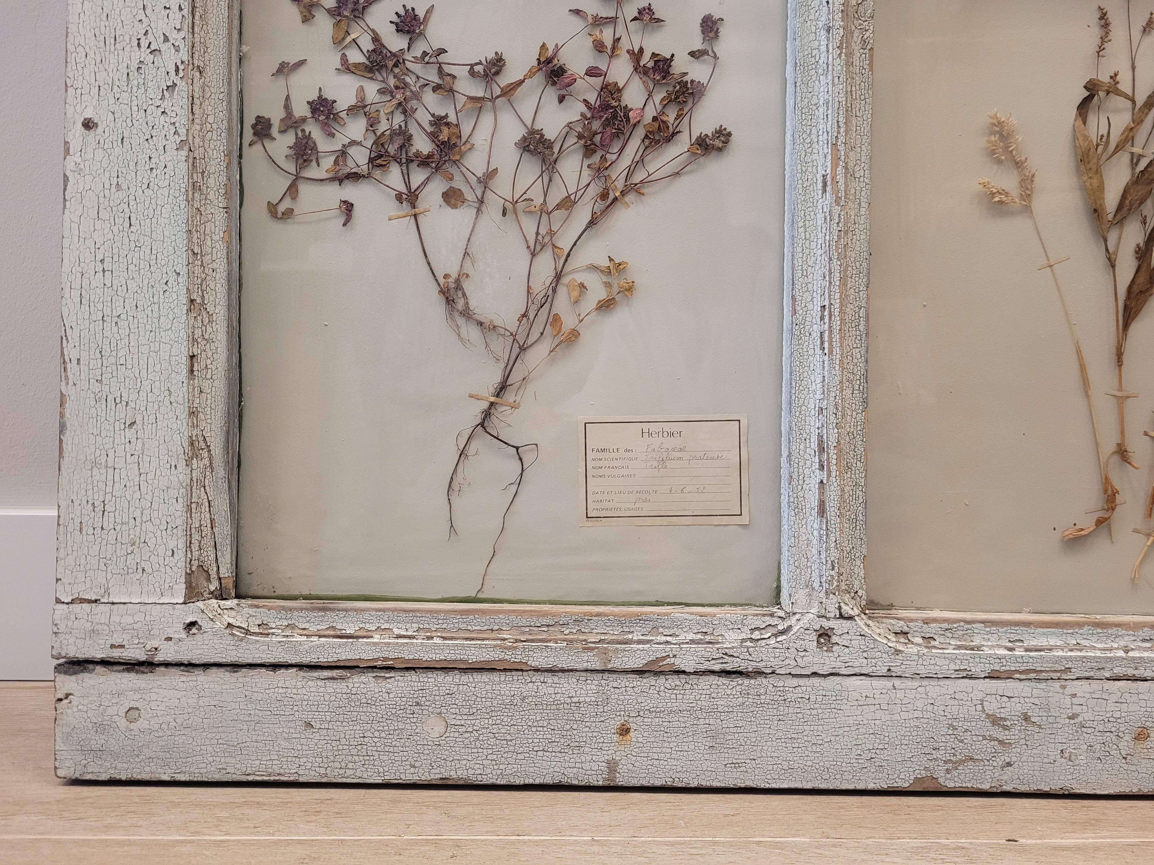 Matériaux organiques Porte française ancienne en bleu provençal avec herboristerie ou fleurs pressées. en vente