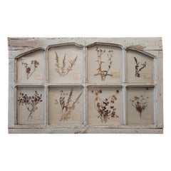 Antique French Puerta en azul provenzal con herbolario o flores prensadas