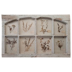 Antique French Puerta en azul provenzal con herbolario o flores prensadas