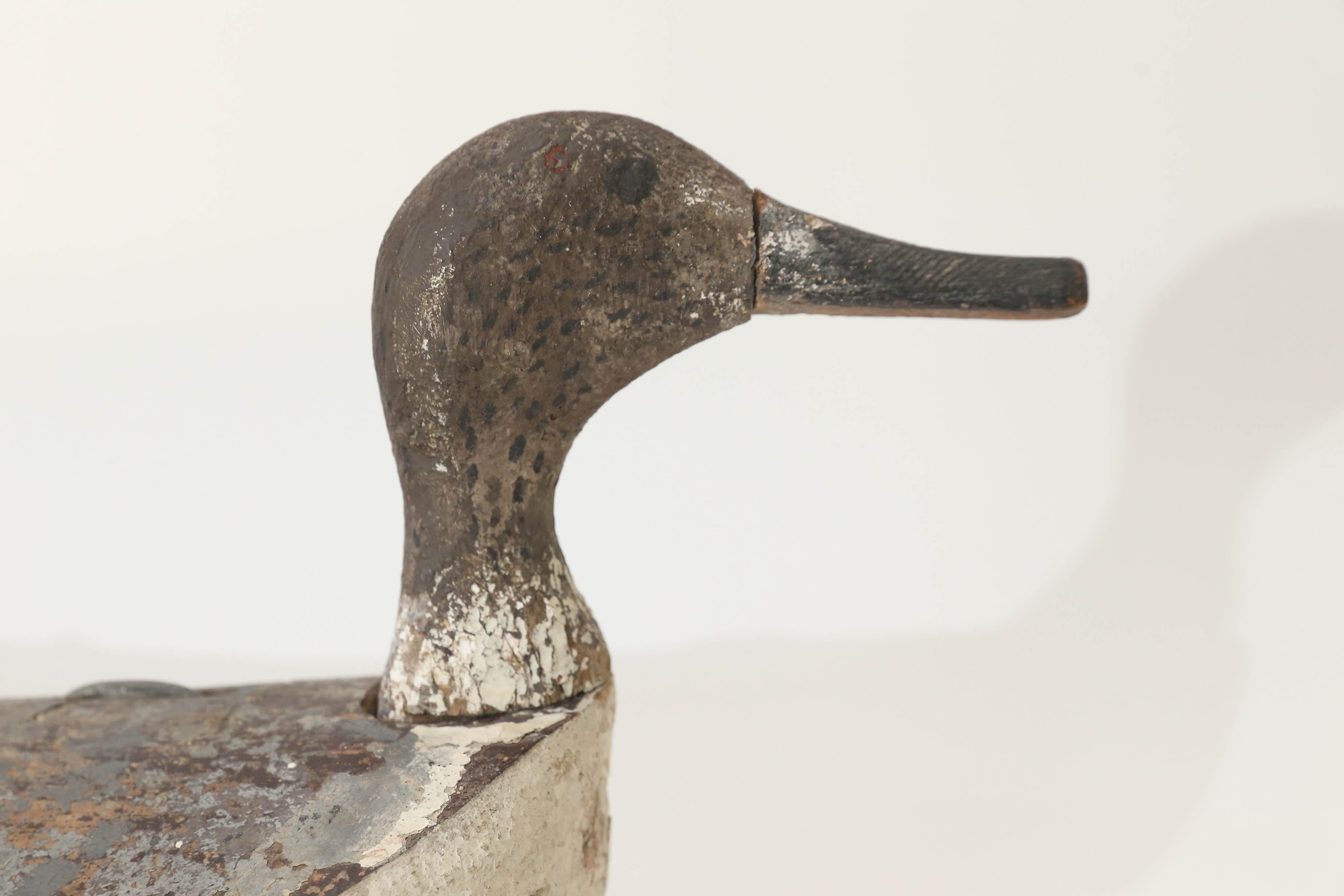 20th Century Antique French Duck Decoy