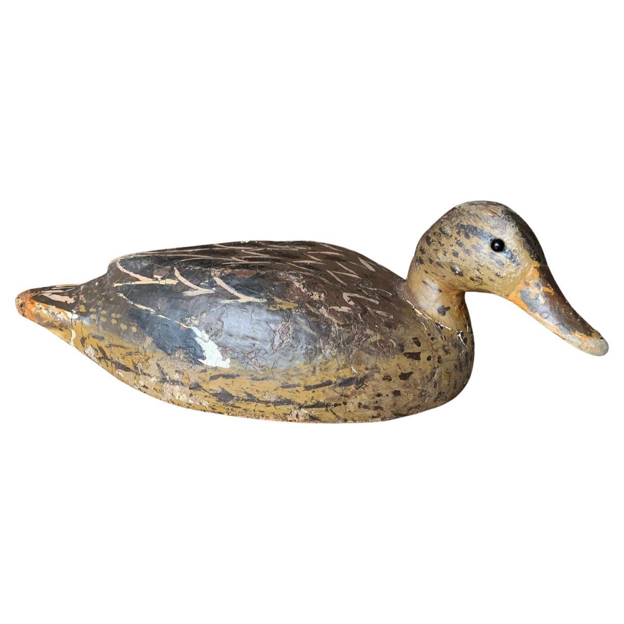 Señuelo de pato Antique French