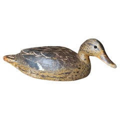 Señuelo de pato Antique French