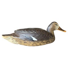 Appelant ancien de canard français