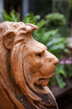 Antique French/ English Terra-Cotta Lion