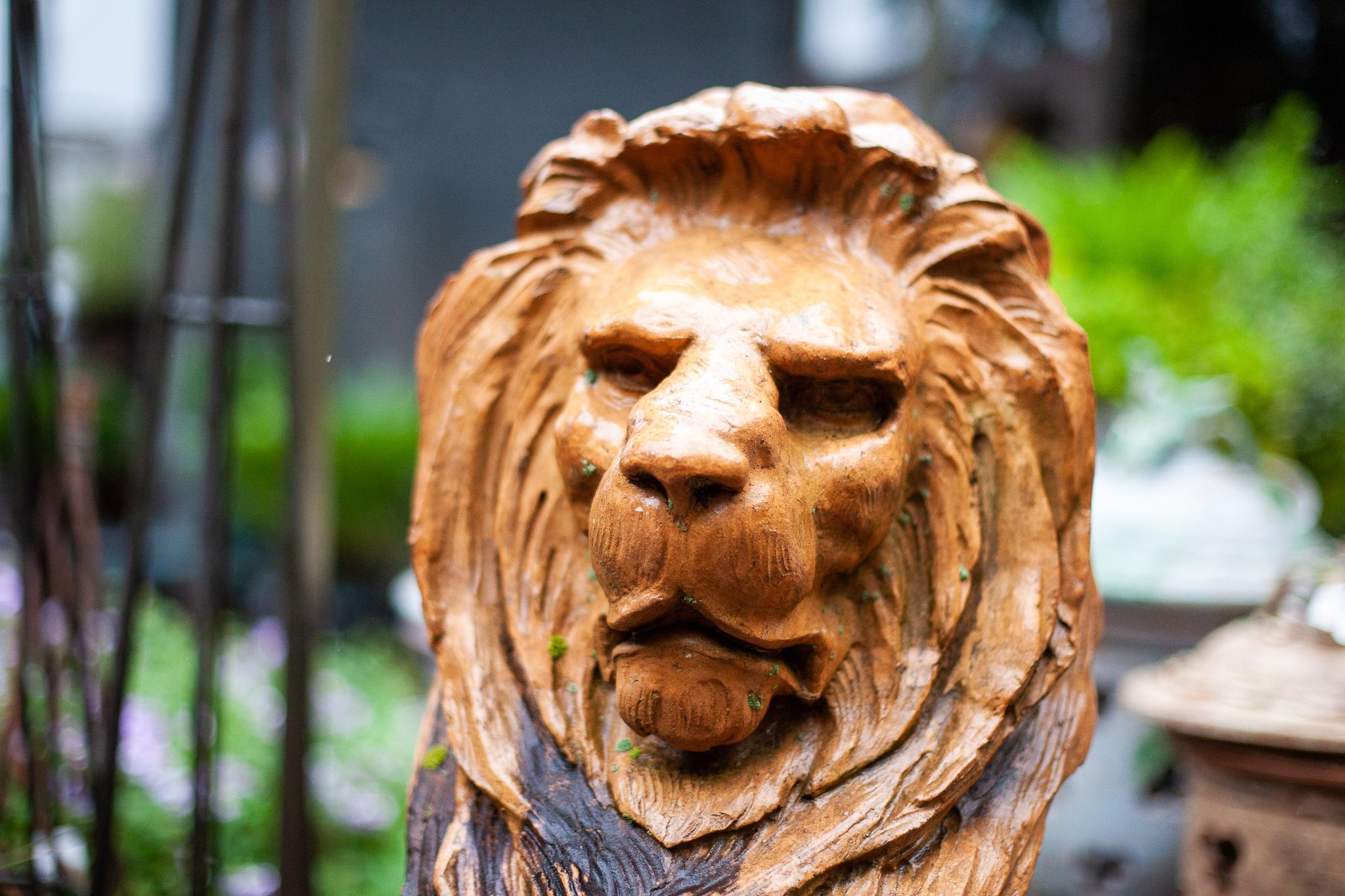 Terracotta Antique French/ English Terra-Cotta Lion For Sale