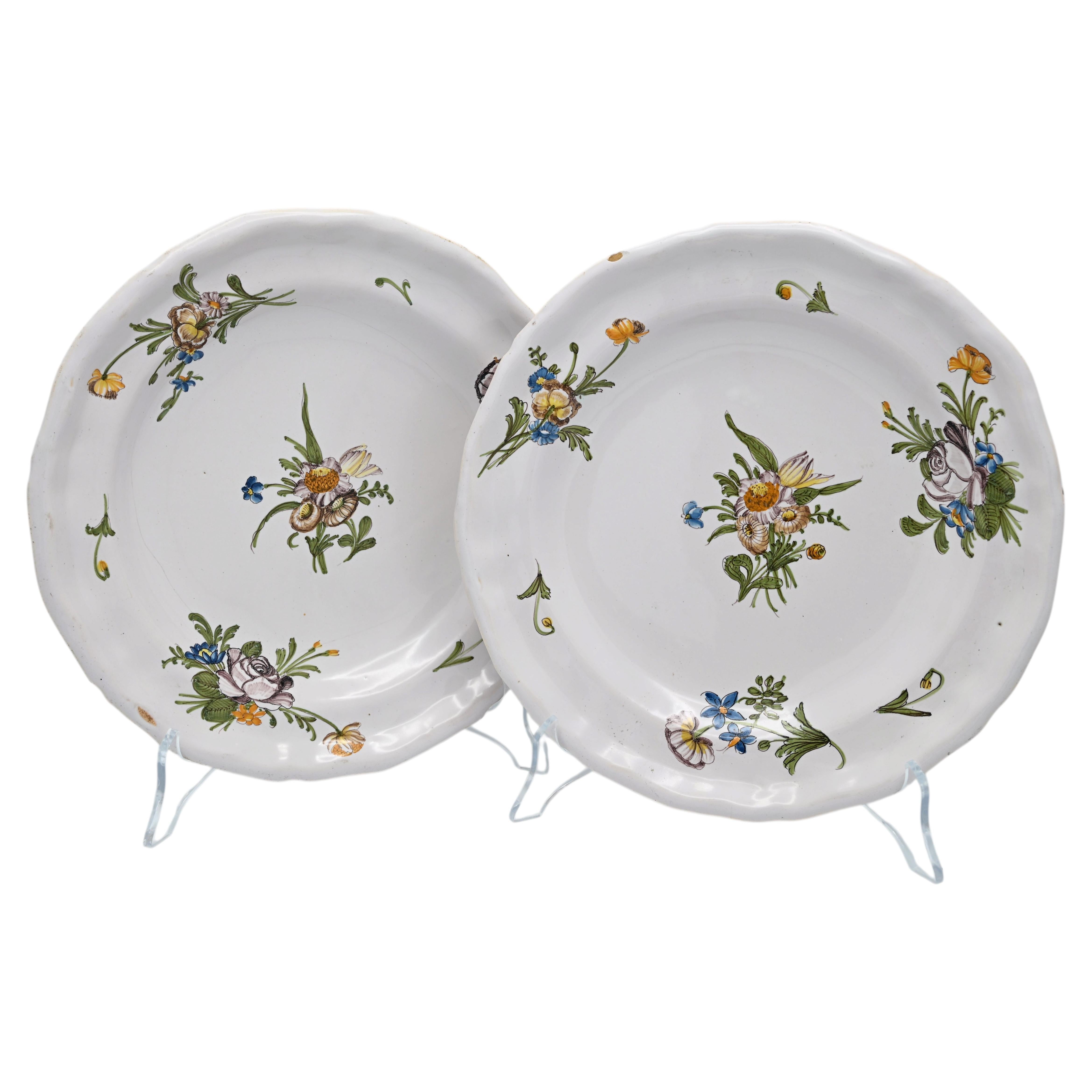 Antique French Faience set of Polychrome Plates, Montpellier, 18th century For Sale