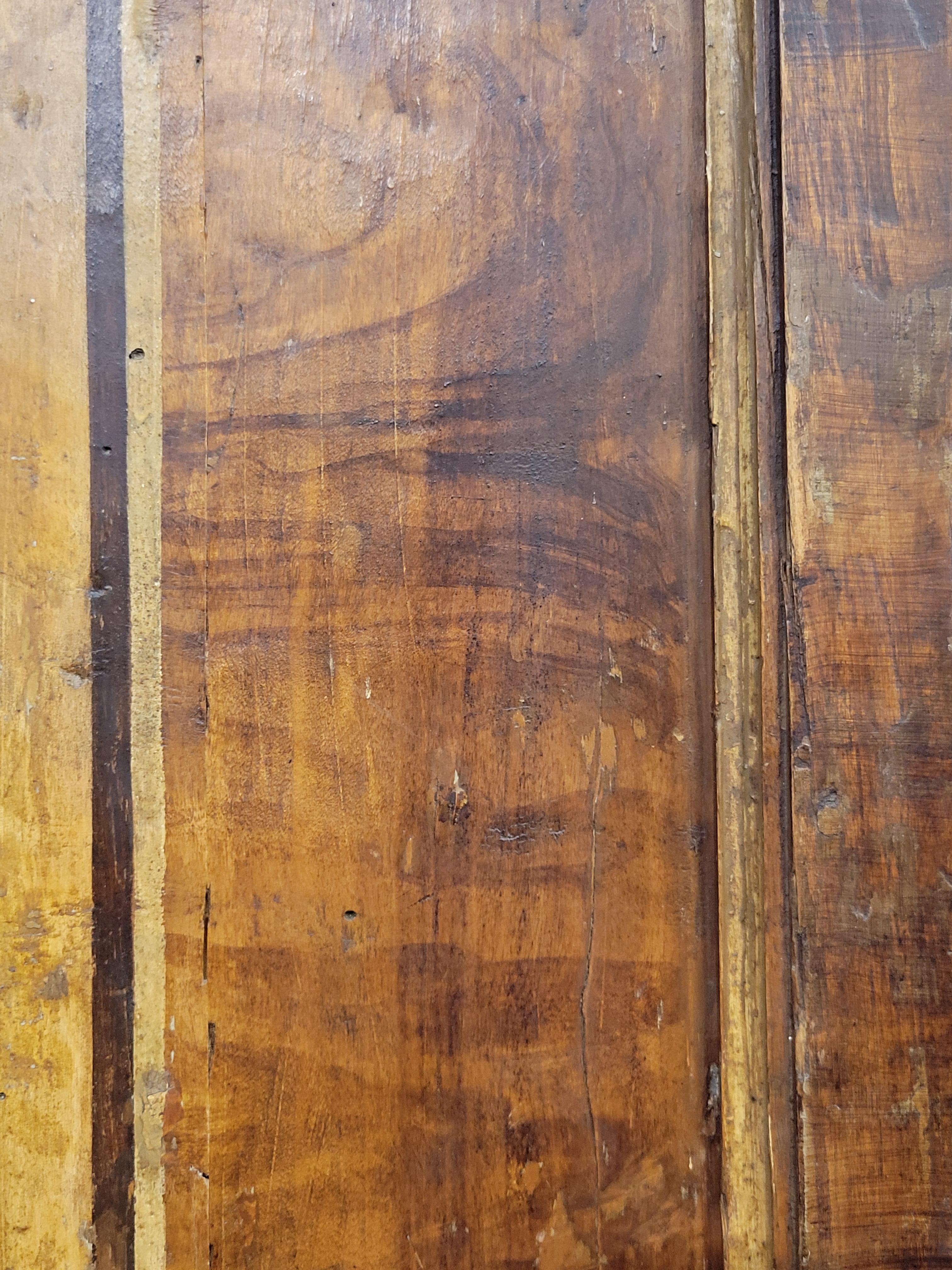 Dipinto a mano Antique French Faux Grain Painted Pine Pantry Door with Landscape Scenes in vendita